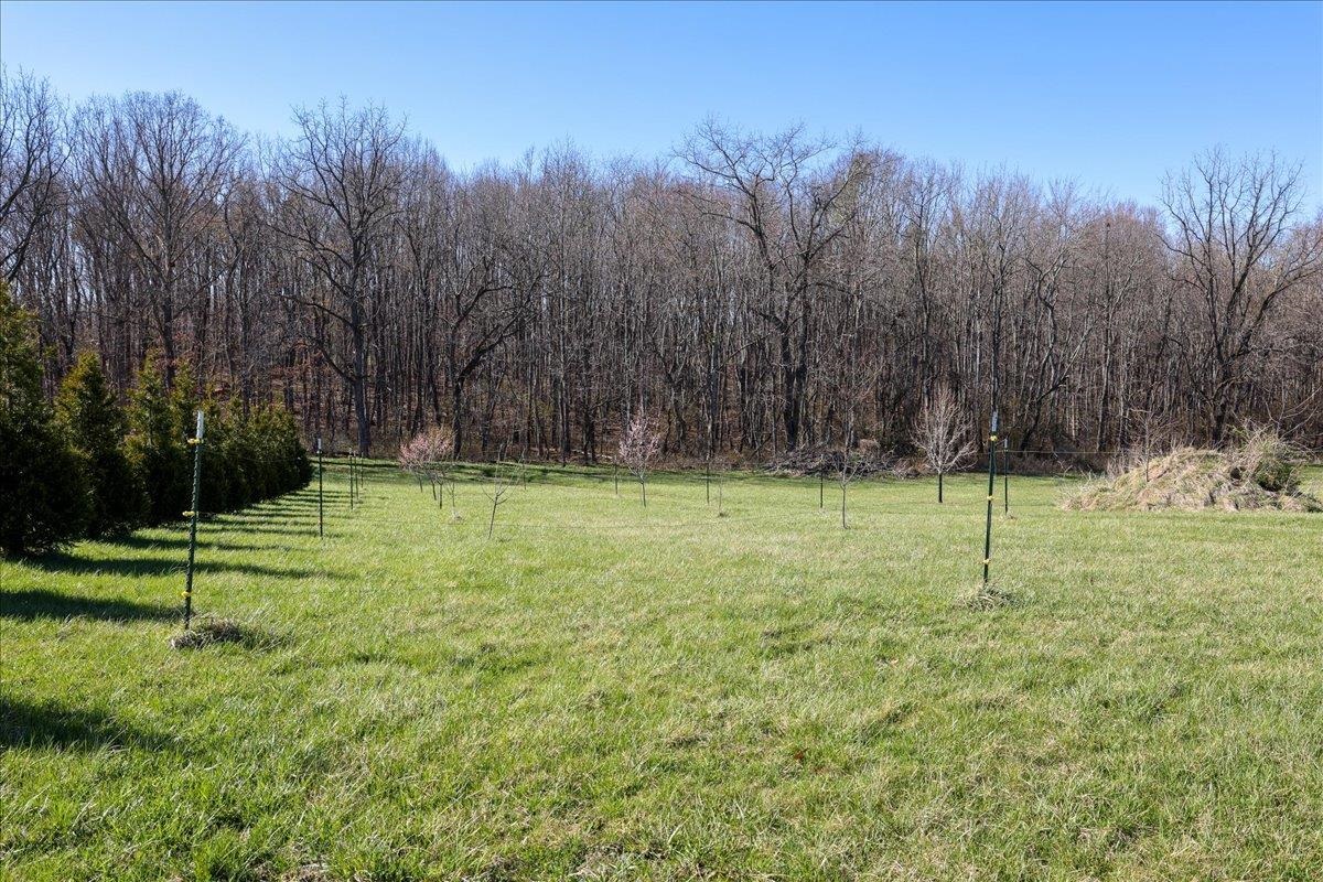 TBD TADPOLE LN, GREENVILLE, Virginia 24440, ,Land,TBD TADPOLE LN,674902 MLS # 674902 TBD TADPOLE LN, GREENVILLE, Virginia 24440, ,Land,TBD TADPOLE LN,674902 MLS # 674902