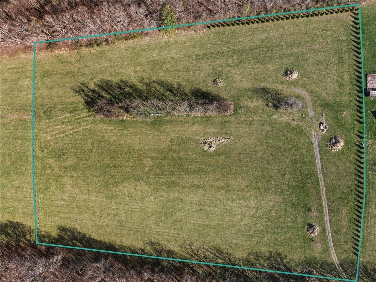 TBD TADPOLE LN, GREENVILLE, Virginia 24440, ,Land,TBD TADPOLE LN,674902 MLS # 674902 TBD TADPOLE LN, GREENVILLE, Virginia 24440, ,Land,TBD TADPOLE LN,674902 MLS # 674902