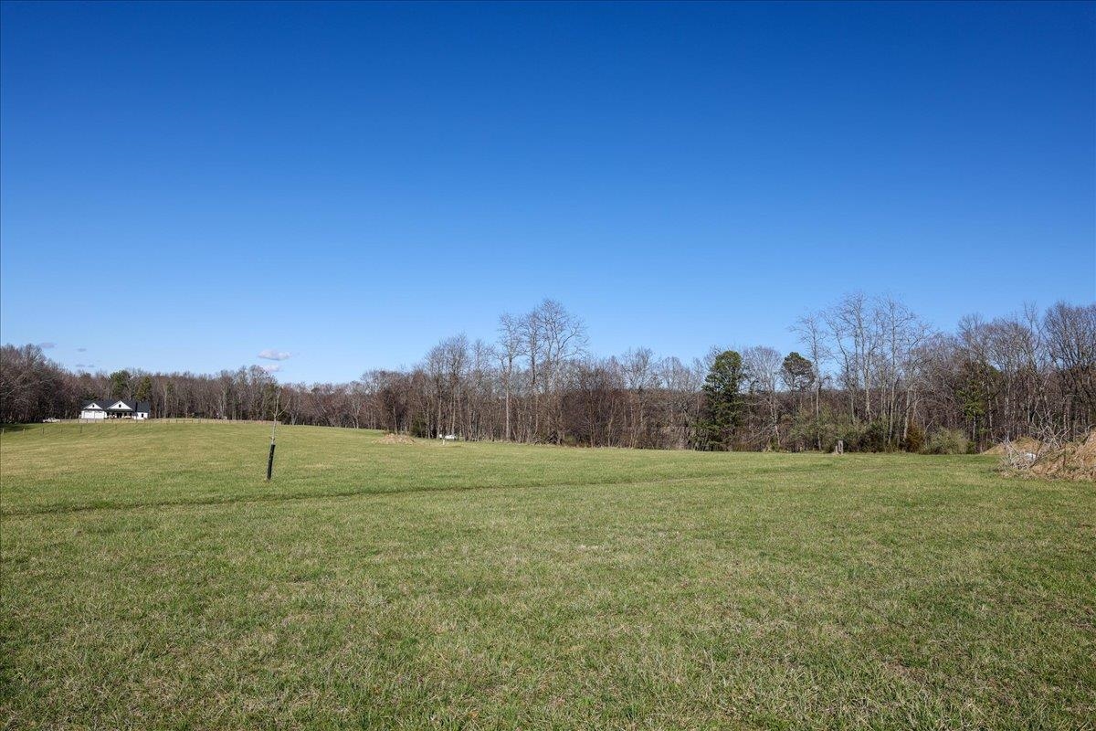 TBD TADPOLE LN, GREENVILLE, Virginia 24440, ,Land,TBD TADPOLE LN,674902 MLS # 674902 TBD TADPOLE LN, GREENVILLE, Virginia 24440, ,Land,TBD TADPOLE LN,674902 MLS # 674902