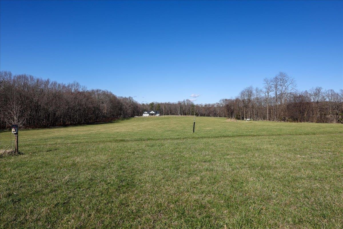 TBD TADPOLE LN, GREENVILLE, Virginia 24440, ,Land,TBD TADPOLE LN,674902 MLS # 674902 TBD TADPOLE LN, GREENVILLE, Virginia 24440, ,Land,TBD TADPOLE LN,674902 MLS # 674902