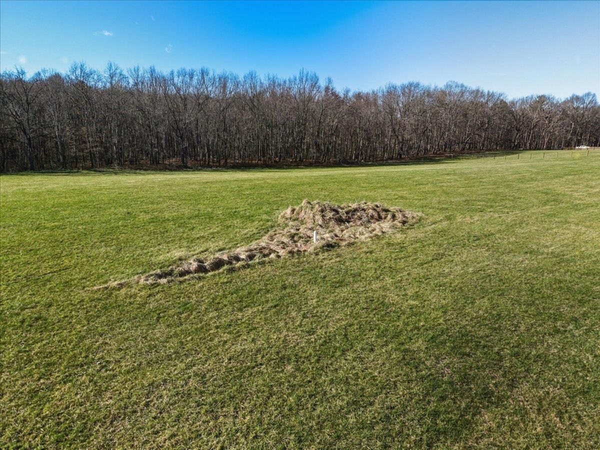 TBD TADPOLE LN, GREENVILLE, Virginia 24440, ,Land,TBD TADPOLE LN,674902 MLS # 674902 TBD TADPOLE LN, GREENVILLE, Virginia 24440, ,Land,TBD TADPOLE LN,674902 MLS # 674902