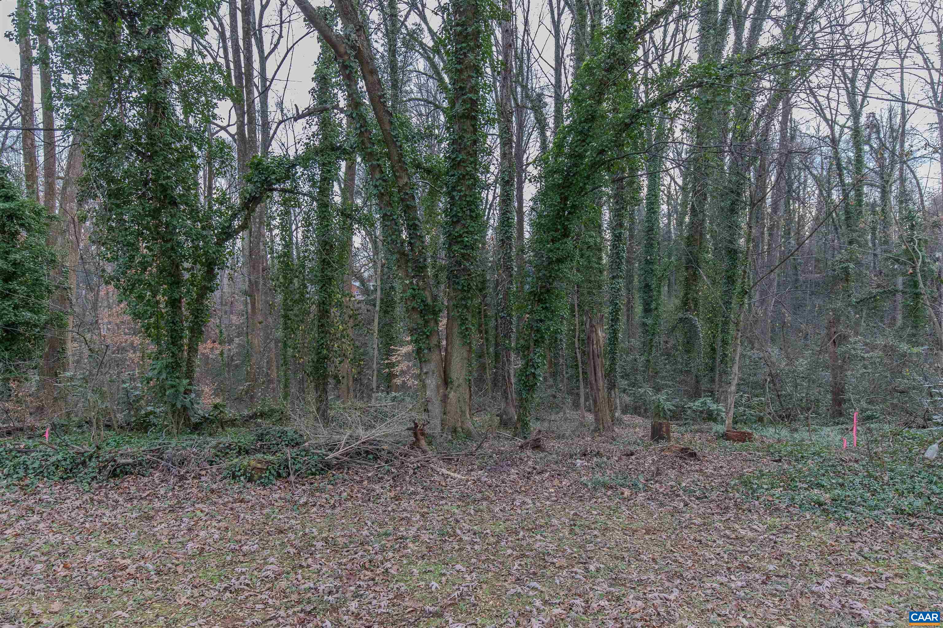 202 RAYMOND AVE, CHARLOTTESVILLE, Virginia 22903, ,Land,202 Raymond Ave,202 RAYMOND AVE,674905 MLS # 674905 202 RAYMOND AVE, CHARLOTTESVILLE, Virginia 22903, ,Land,202 Raymond Ave,202 RAYMOND AVE,674905 MLS # 674905