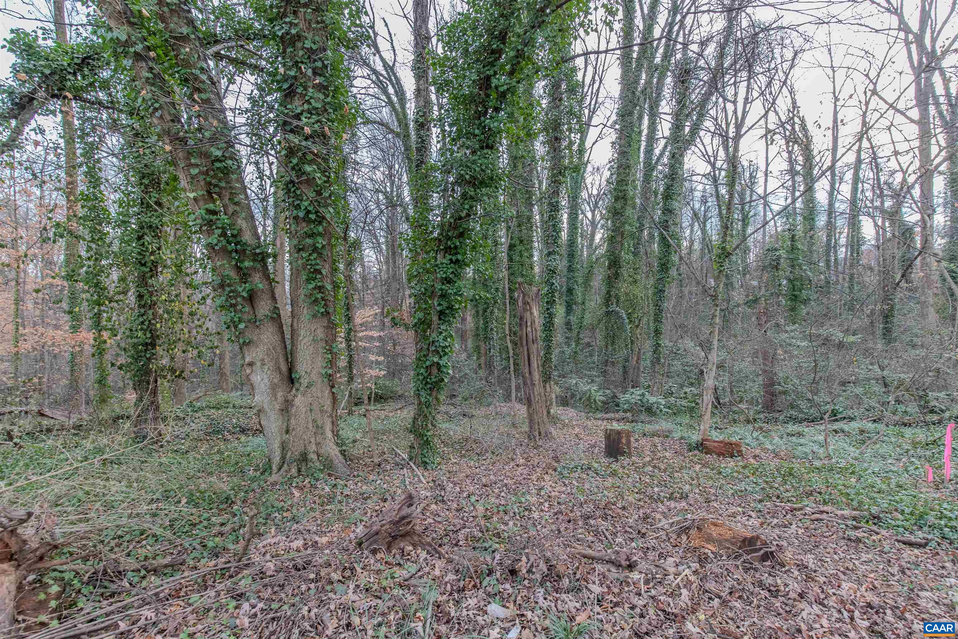 202 RAYMOND AVE, CHARLOTTESVILLE, Virginia 22903, ,Land,202 Raymond Ave,202 RAYMOND AVE,674905 MLS # 674905 202 RAYMOND AVE, CHARLOTTESVILLE, Virginia 22903, ,Land,202 Raymond Ave,202 RAYMOND AVE,674905 MLS # 674905