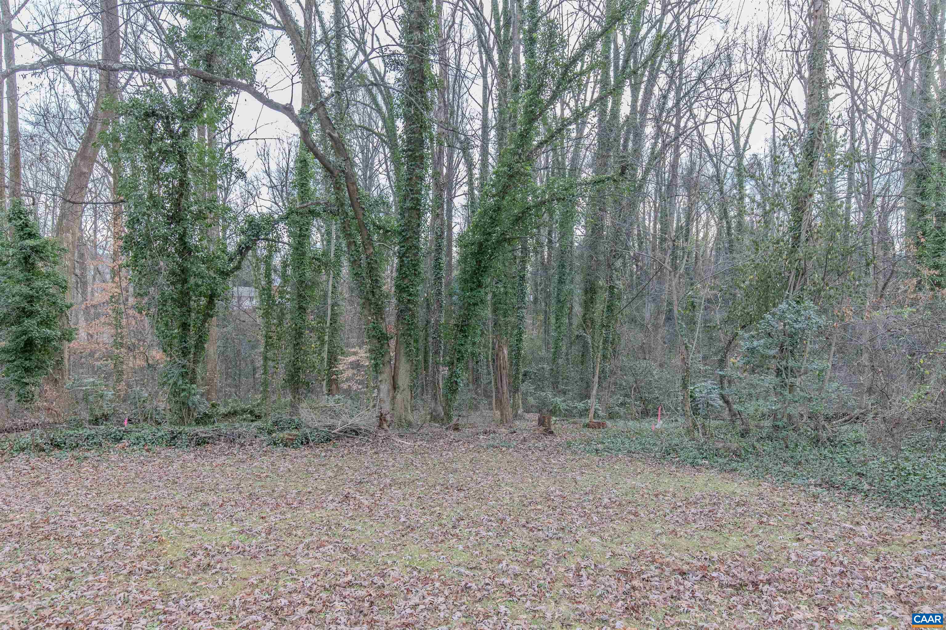 202 RAYMOND AVE, CHARLOTTESVILLE, Virginia 22903, ,Land,202 Raymond Ave,202 RAYMOND AVE,674905 MLS # 674905 202 RAYMOND AVE, CHARLOTTESVILLE, Virginia 22903, ,Land,202 Raymond Ave,202 RAYMOND AVE,674905 MLS # 674905