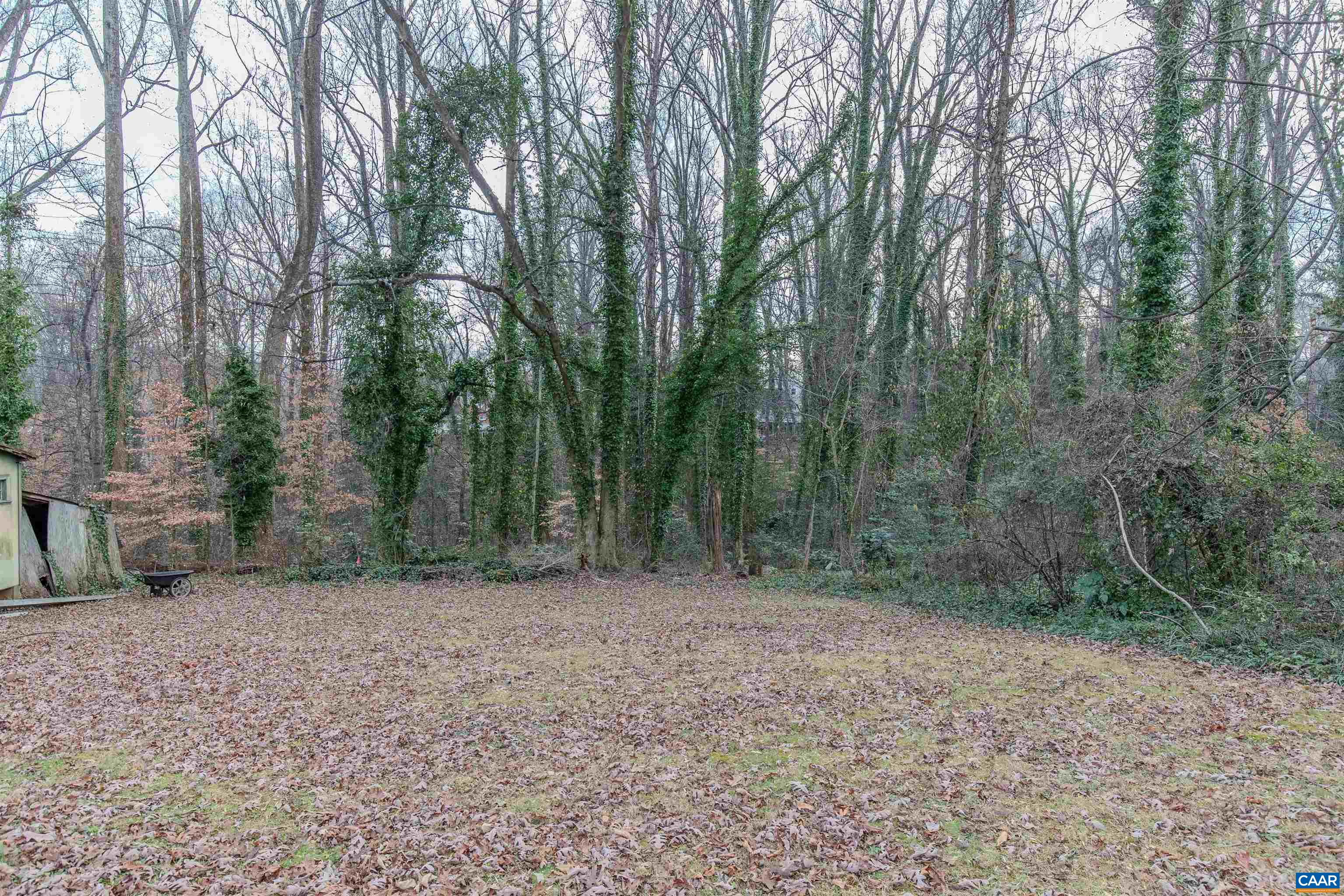 202 RAYMOND AVE, CHARLOTTESVILLE, Virginia 22903, ,Land,202 Raymond Ave,202 RAYMOND AVE,674905 MLS # 674905 202 RAYMOND AVE, CHARLOTTESVILLE, Virginia 22903, ,Land,202 Raymond Ave,202 RAYMOND AVE,674905 MLS # 674905