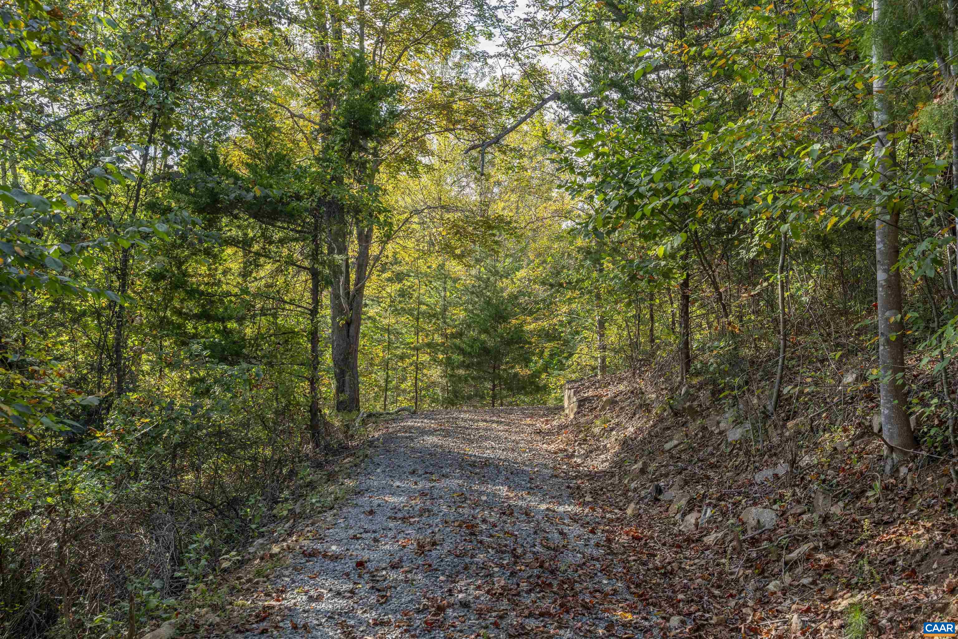 TBD CHERRY GROVE LN, AFTON, Virginia 22920, ,Land,TBD CHERRY GROVE LN,674922 MLS # 674922