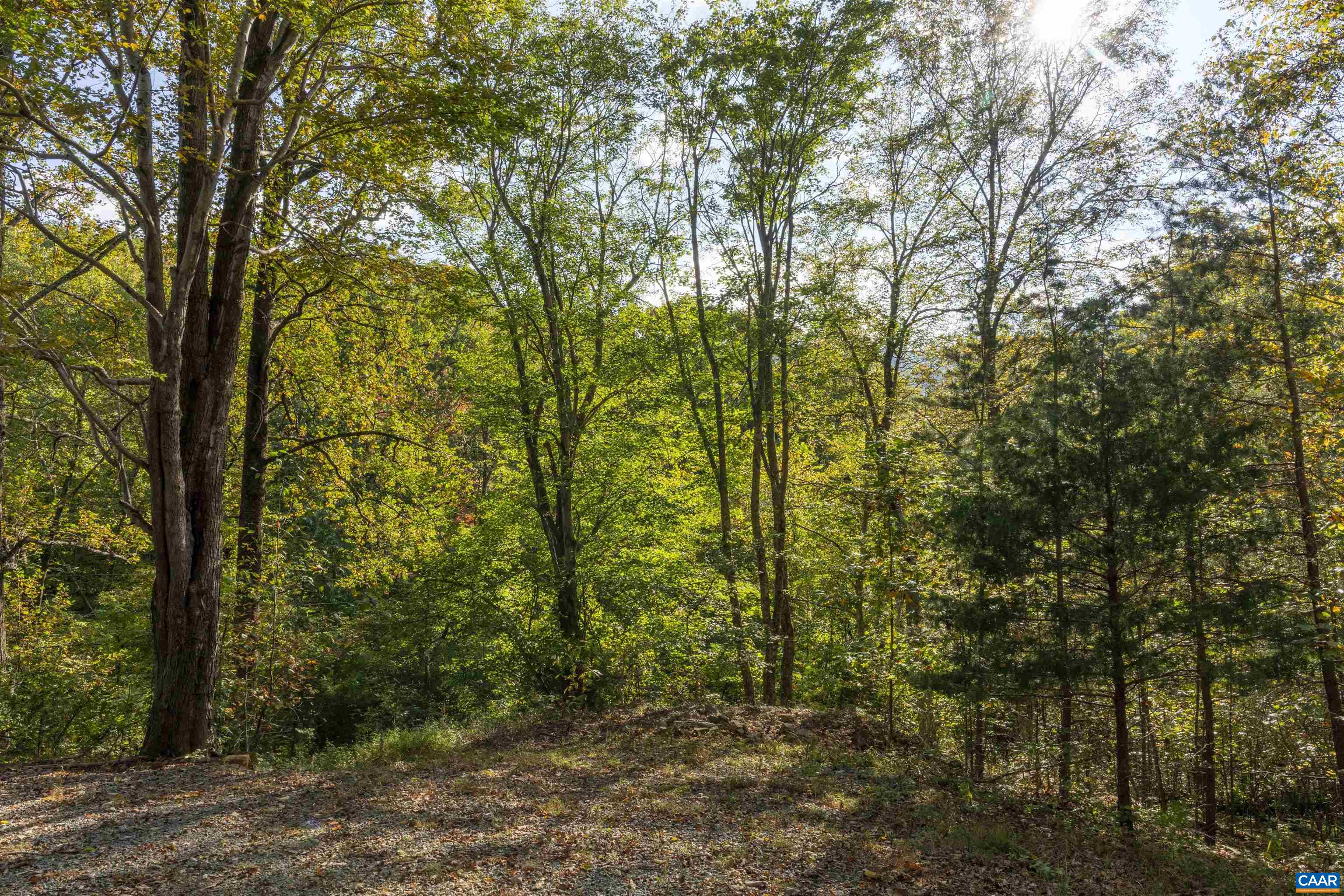 TBD CHERRY GROVE LN, AFTON, Virginia 22920, ,Land,TBD CHERRY GROVE LN,674922 MLS # 674922