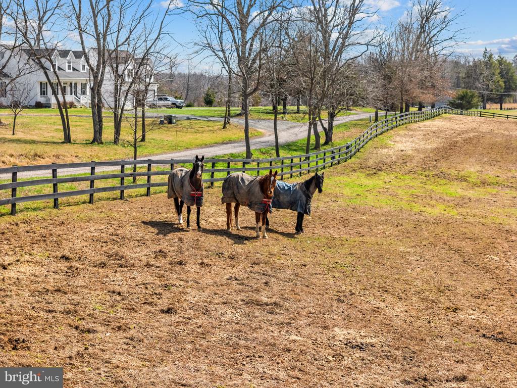 6478 LAUREL HILL LN, RIXEYVILLE, Virginia 22737, ,Residential,6478 LAUREL HILL LN,VACU2012874 MLS # VACU2012874