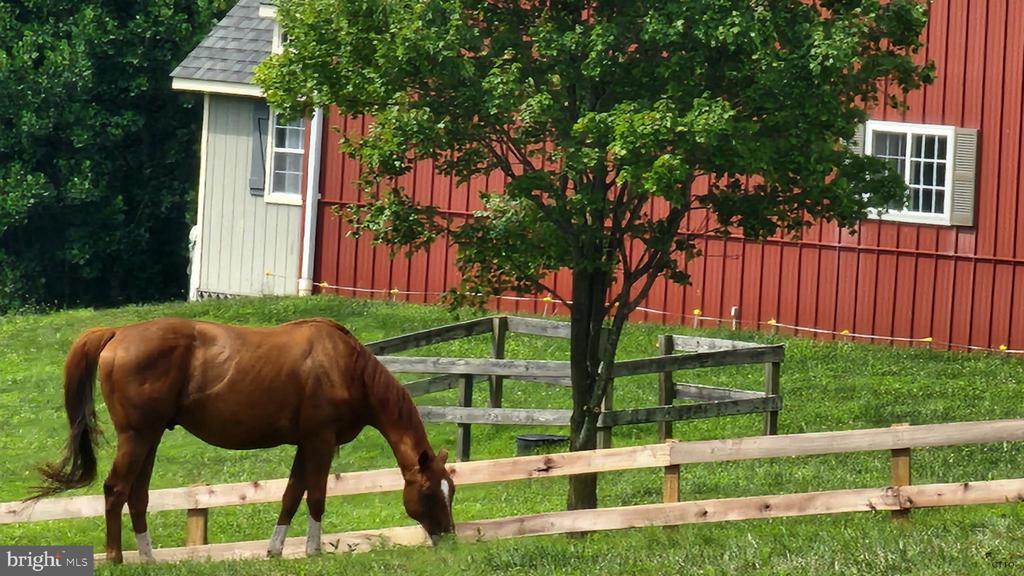 6478 LAUREL HILL LN, RIXEYVILLE, Virginia 22737, ,Residential,6478 LAUREL HILL LN,VACU2012874 MLS # VACU2012874