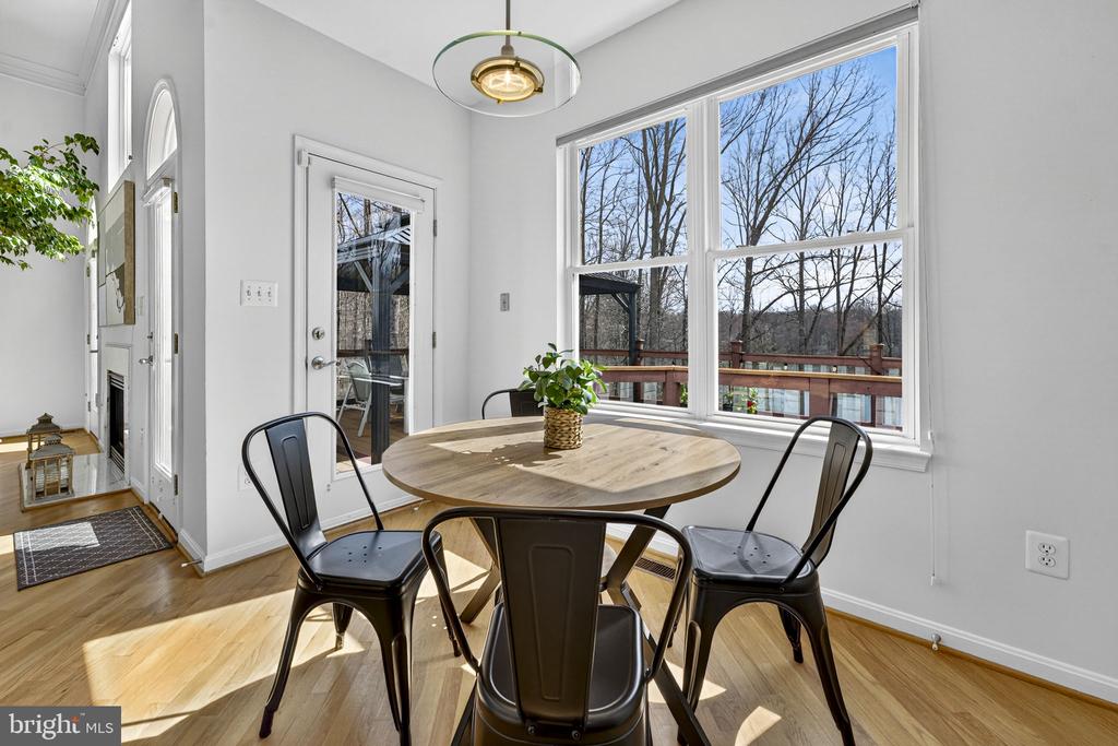 16199 COVEY CIR, AMISSVILLE, Virginia 20106, 4 Bedrooms Bedrooms, ,4 BathroomsBathrooms,Residential,16199 COVEY CIR,VACU2013100 MLS # VACU2013100