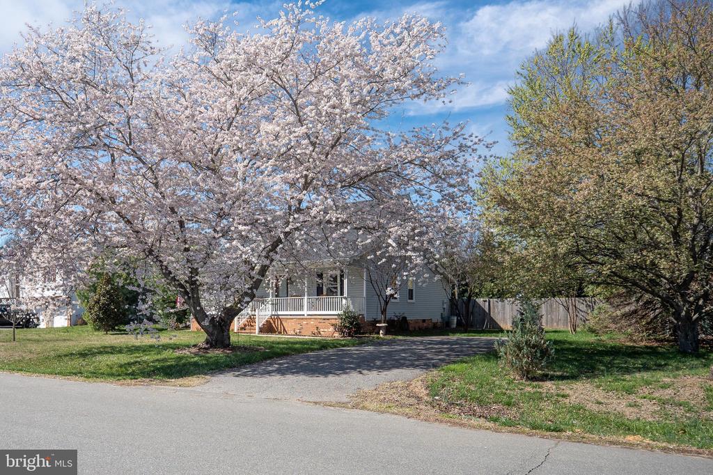 4008 BLAKE DR, FREDERICKSBURG, Virginia 22407, 3 Bedrooms Bedrooms, ,3 BathroomsBathrooms,Residential,4008 BLAKE DR,VASP2040296 MLS # VASP2040296