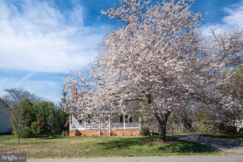 4008 BLAKE DR, FREDERICKSBURG, Virginia 22407, 3 Bedrooms Bedrooms, ,3 BathroomsBathrooms,Residential,4008 BLAKE DR,VASP2040296 MLS # VASP2040296