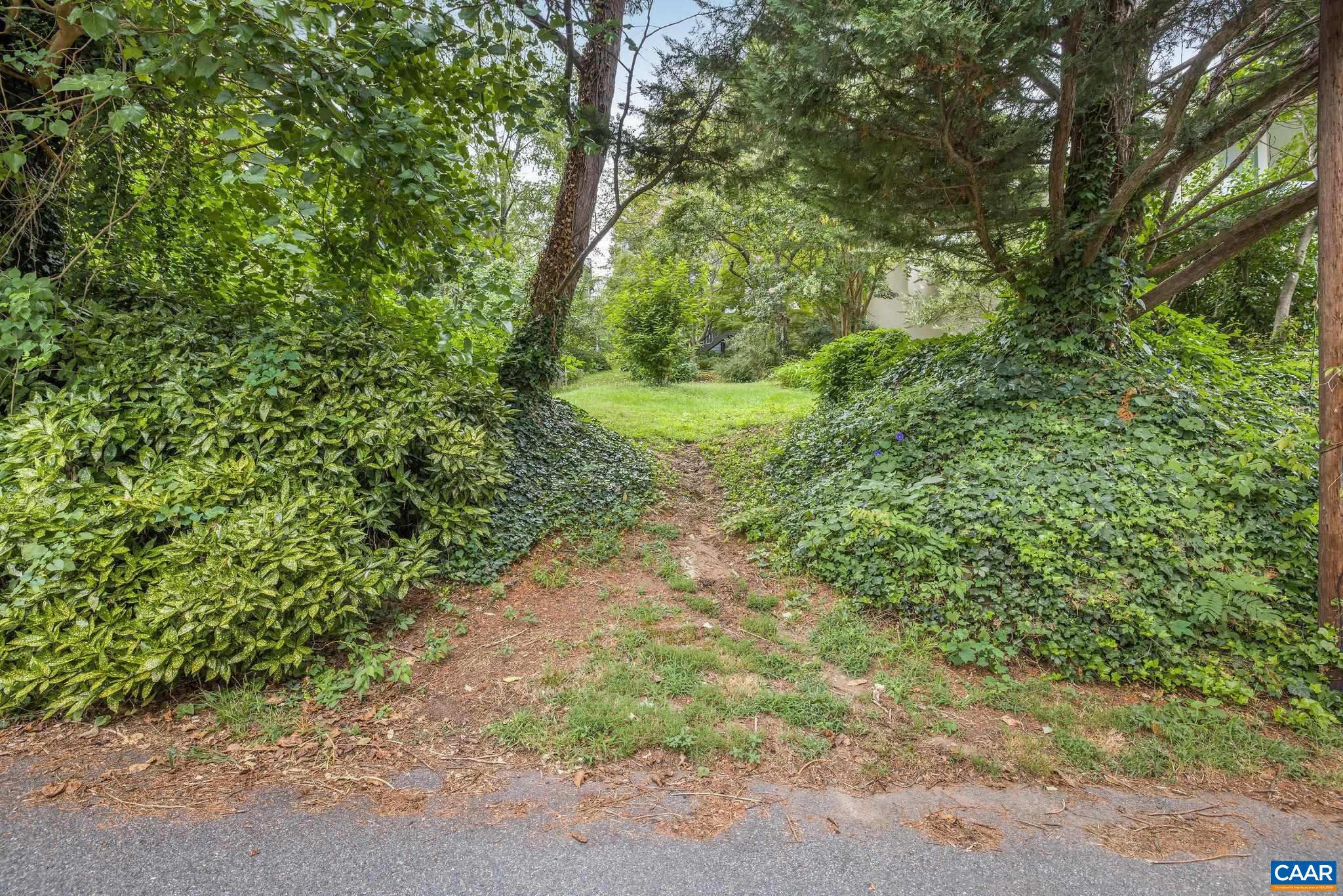 518 N 1ST ST, CHARLOTTESVILLE, Virginia 22902, 6 Bedrooms Bedrooms, ,3 BathroomsBathrooms,Residential,518 N 1ST ST,674691 MLS # 674691