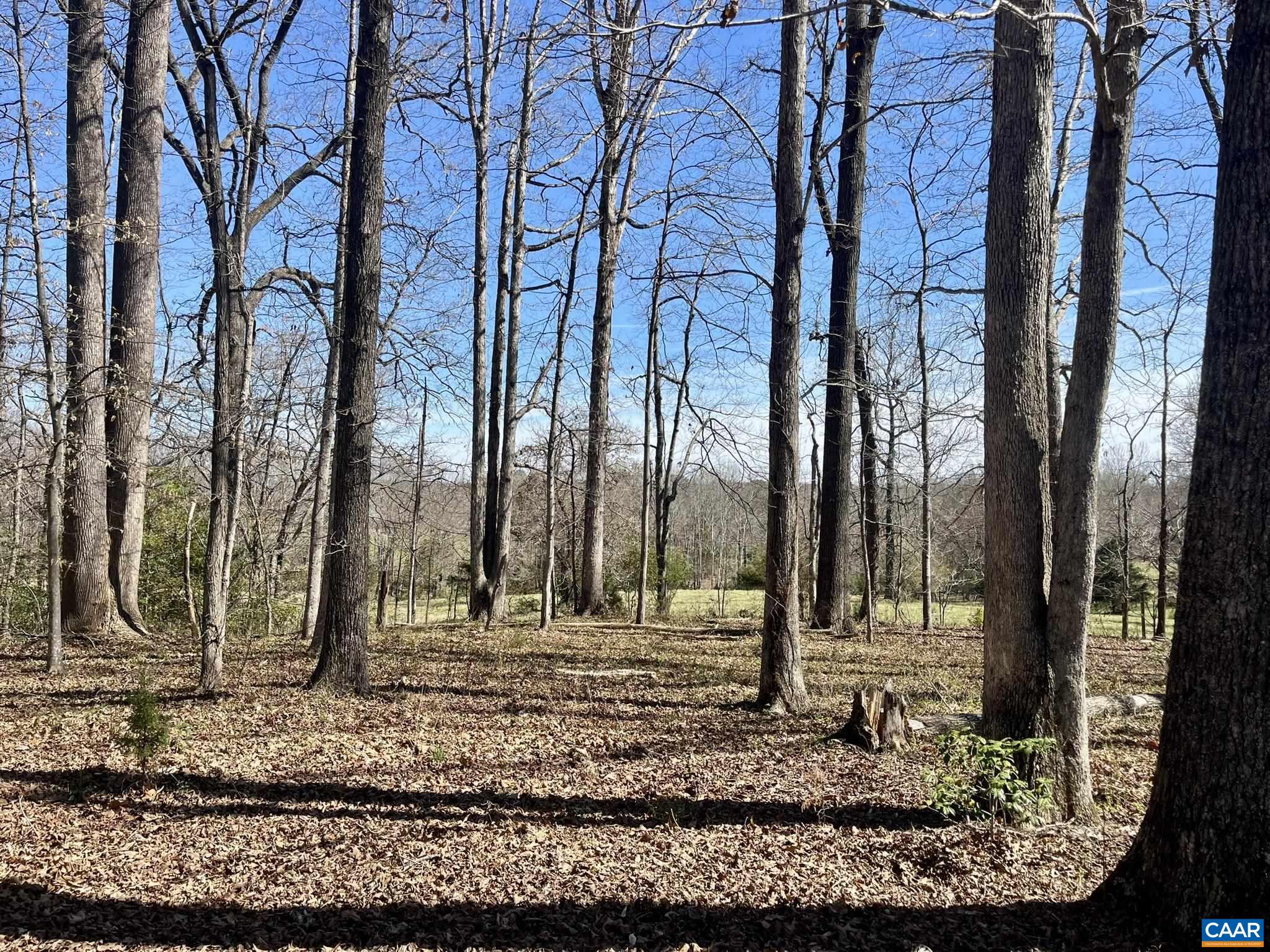 289 COMMUNITY HOUSE RD, KENTS STORE, Virginia 23084, 3 Bedrooms Bedrooms, ,2 BathroomsBathrooms,Residential,289 COMMUNITY HOUSE RD,674696 MLS # 674696