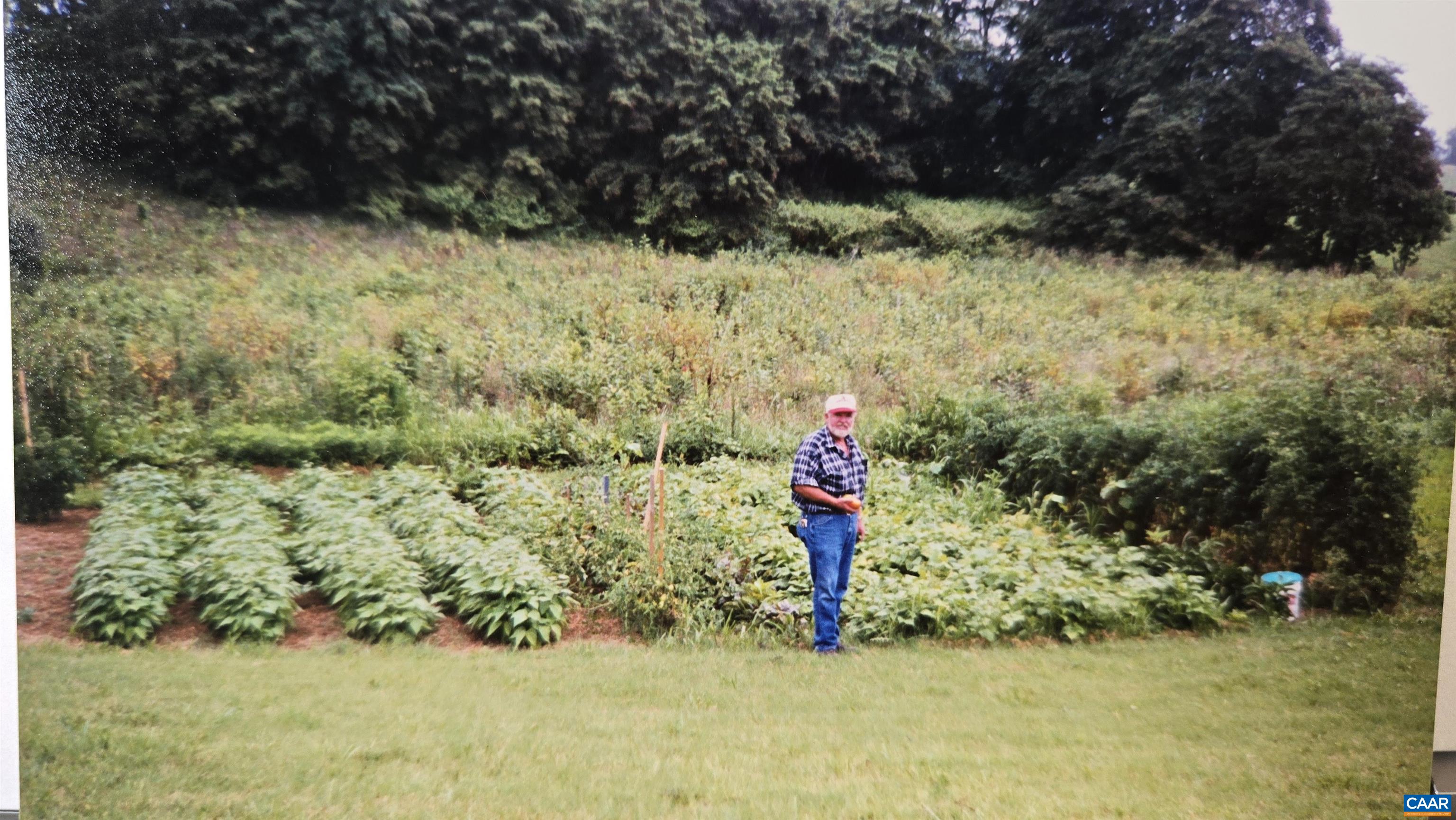 1821 RED TOP ORCHARD RD, WAYNESBORO, Virginia 22980, 3 Bedrooms Bedrooms, ,3 BathroomsBathrooms,Residential,1821 RED TOP ORCHARD RD,674751 MLS # 674751 1821 RED TOP ORCHARD RD, WAYNESBORO, Virginia 22980, 3 Bedrooms Bedrooms, ,3 BathroomsBathrooms,Residential,1821 RED TOP ORCHARD RD,674751 MLS # 674751