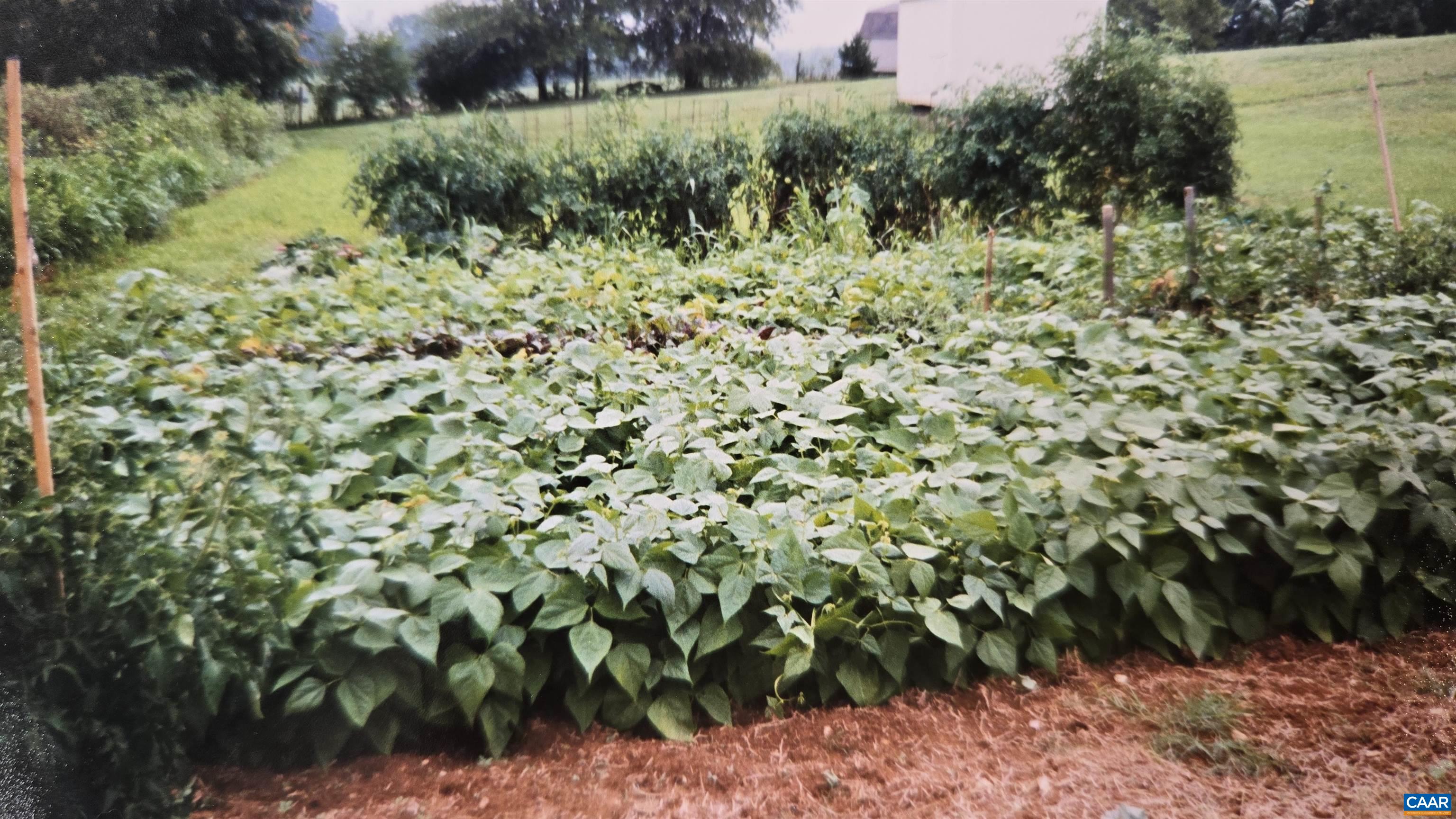 1821 RED TOP ORCHARD RD, WAYNESBORO, Virginia 22980, 3 Bedrooms Bedrooms, ,3 BathroomsBathrooms,Residential,1821 RED TOP ORCHARD RD,674751 MLS # 674751 1821 RED TOP ORCHARD RD, WAYNESBORO, Virginia 22980, 3 Bedrooms Bedrooms, ,3 BathroomsBathrooms,Residential,1821 RED TOP ORCHARD RD,674751 MLS # 674751