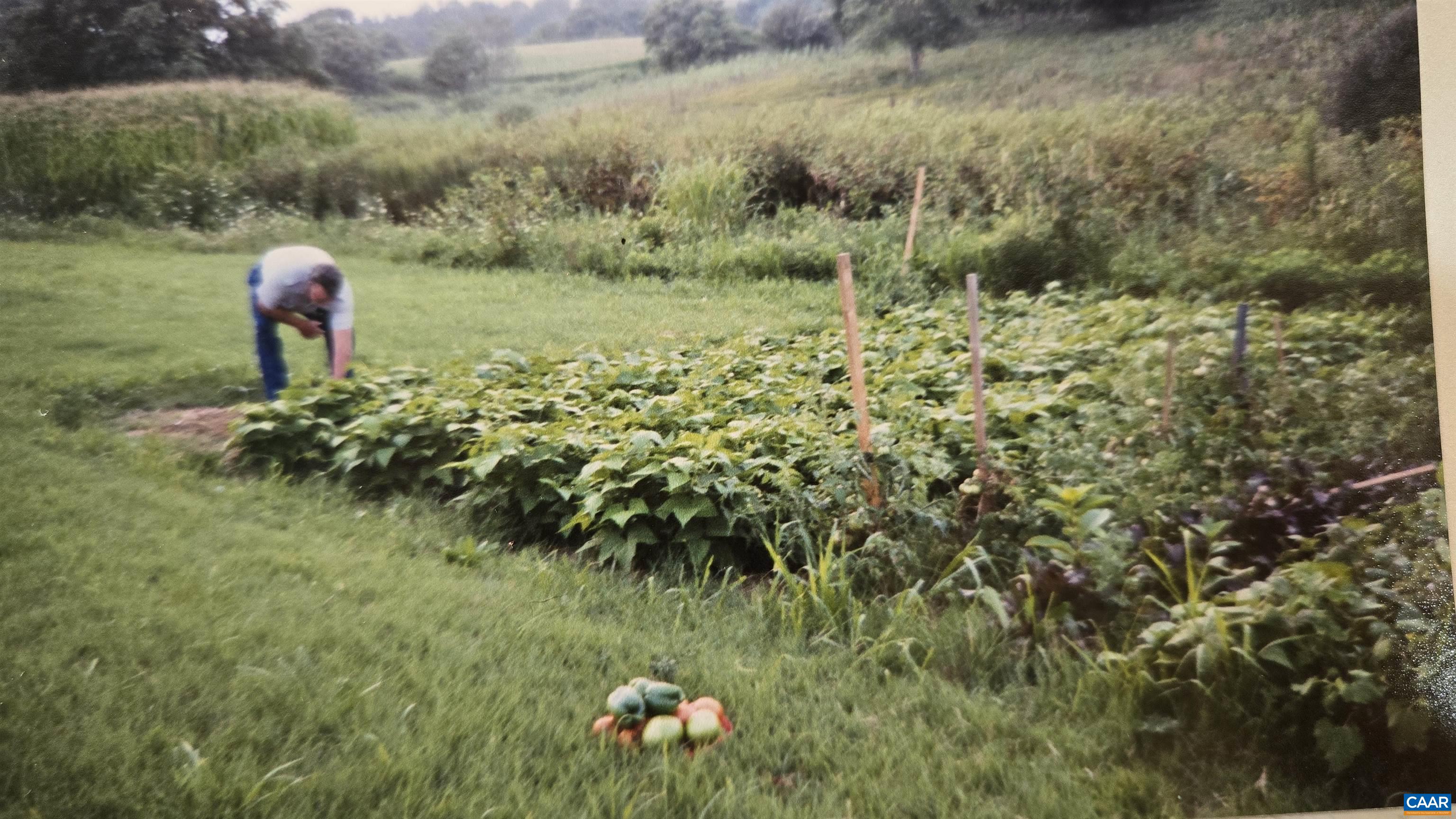 1821 RED TOP ORCHARD RD, WAYNESBORO, Virginia 22980, 3 Bedrooms Bedrooms, ,3 BathroomsBathrooms,Residential,1821 RED TOP ORCHARD RD,674751 MLS # 674751 1821 RED TOP ORCHARD RD, WAYNESBORO, Virginia 22980, 3 Bedrooms Bedrooms, ,3 BathroomsBathrooms,Residential,1821 RED TOP ORCHARD RD,674751 MLS # 674751