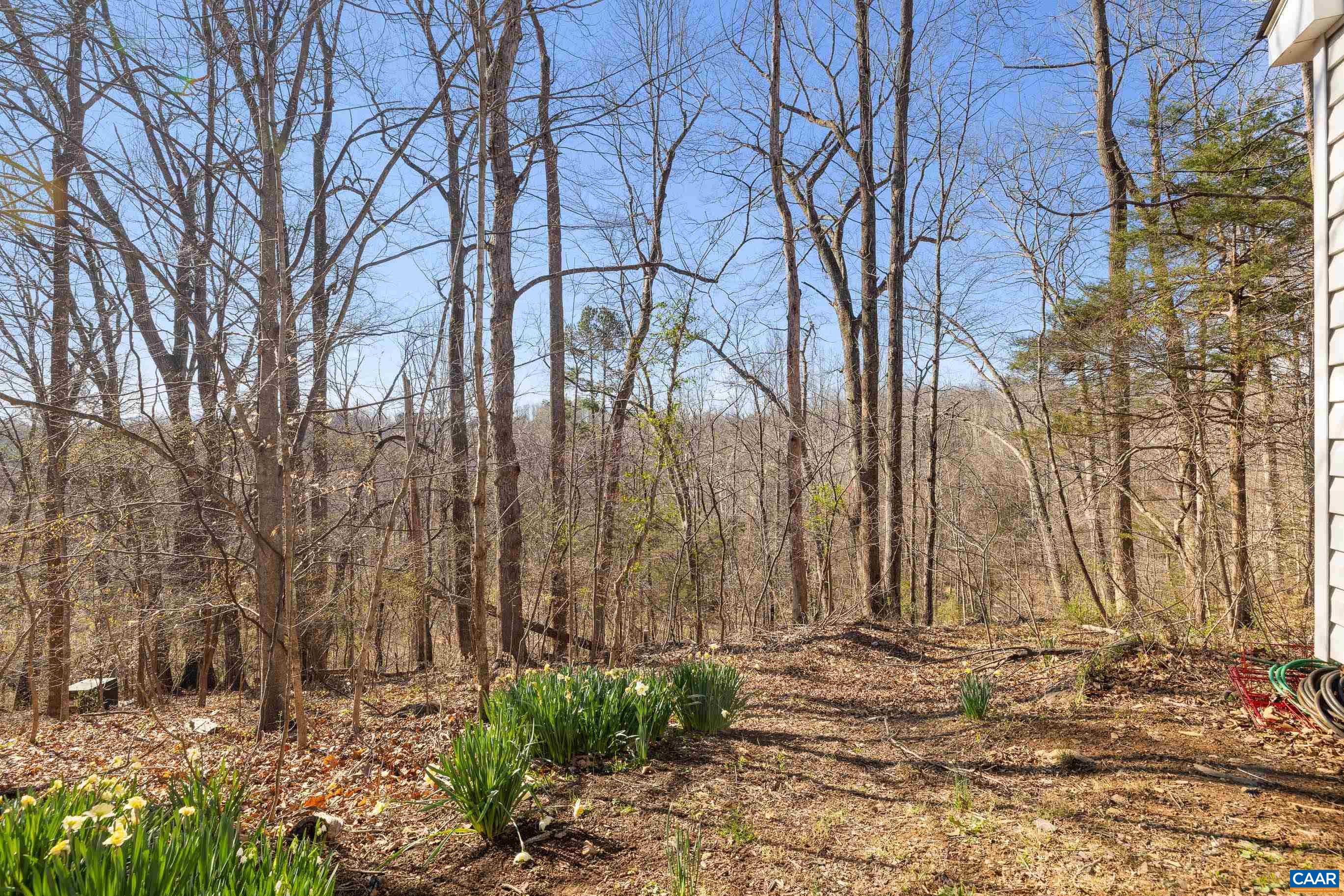 5485 JAMESTOWN CT, CROZET, Virginia 22932, 3 Bedrooms Bedrooms, ,2 BathroomsBathrooms,Residential,5485 JAMESTOWN CT,674756 MLS # 674756