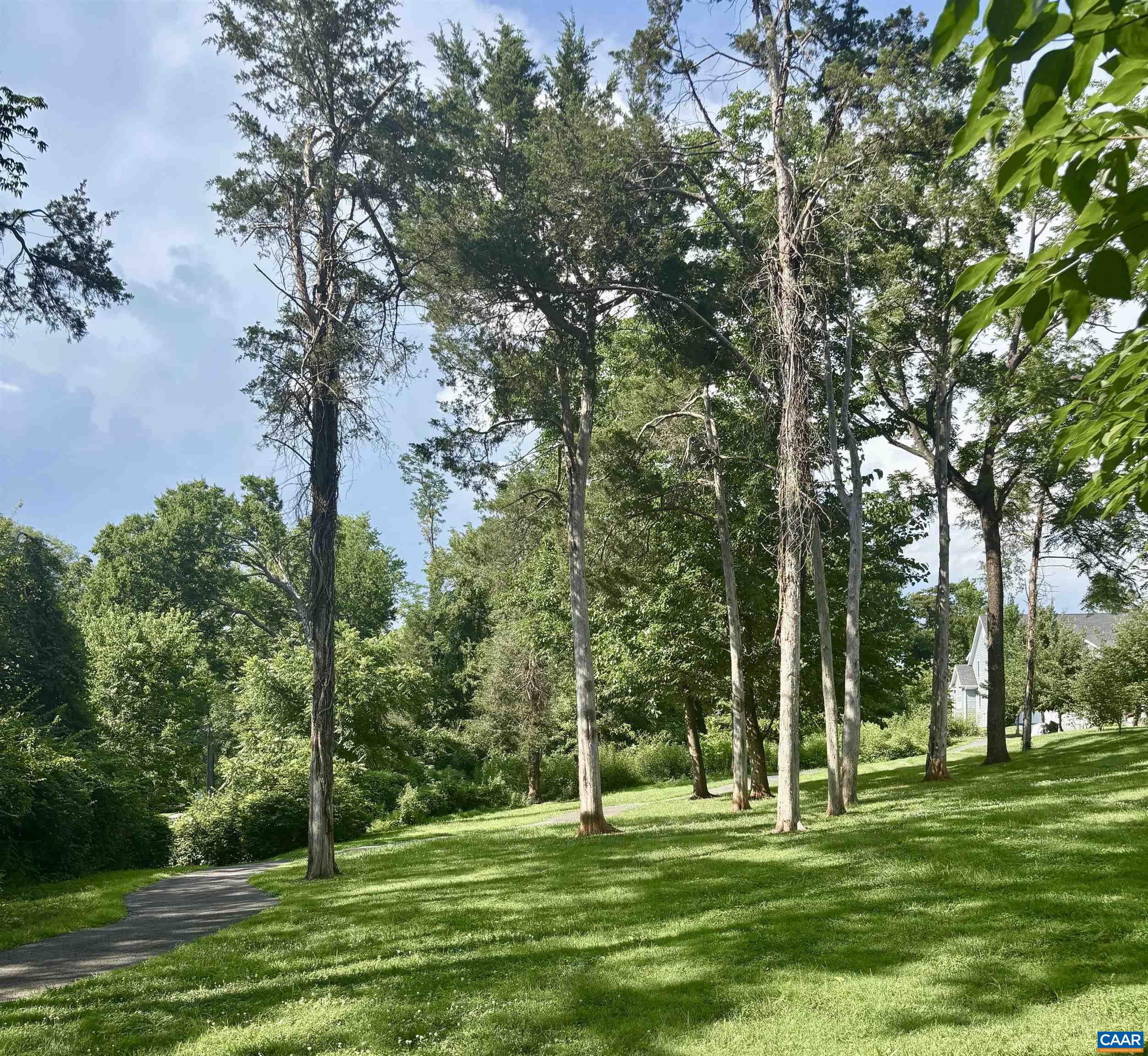 528 TRAILSIDE DR, CHARLOTTESVILLE, Virginia 22911, 4 Bedrooms Bedrooms, ,3 BathroomsBathrooms,Residential,528 TRAILSIDE DR,674759 MLS # 674759 528 TRAILSIDE DR, CHARLOTTESVILLE, Virginia 22911, 4 Bedrooms Bedrooms, ,3 BathroomsBathrooms,Residential,528 TRAILSIDE DR,674759 MLS # 674759