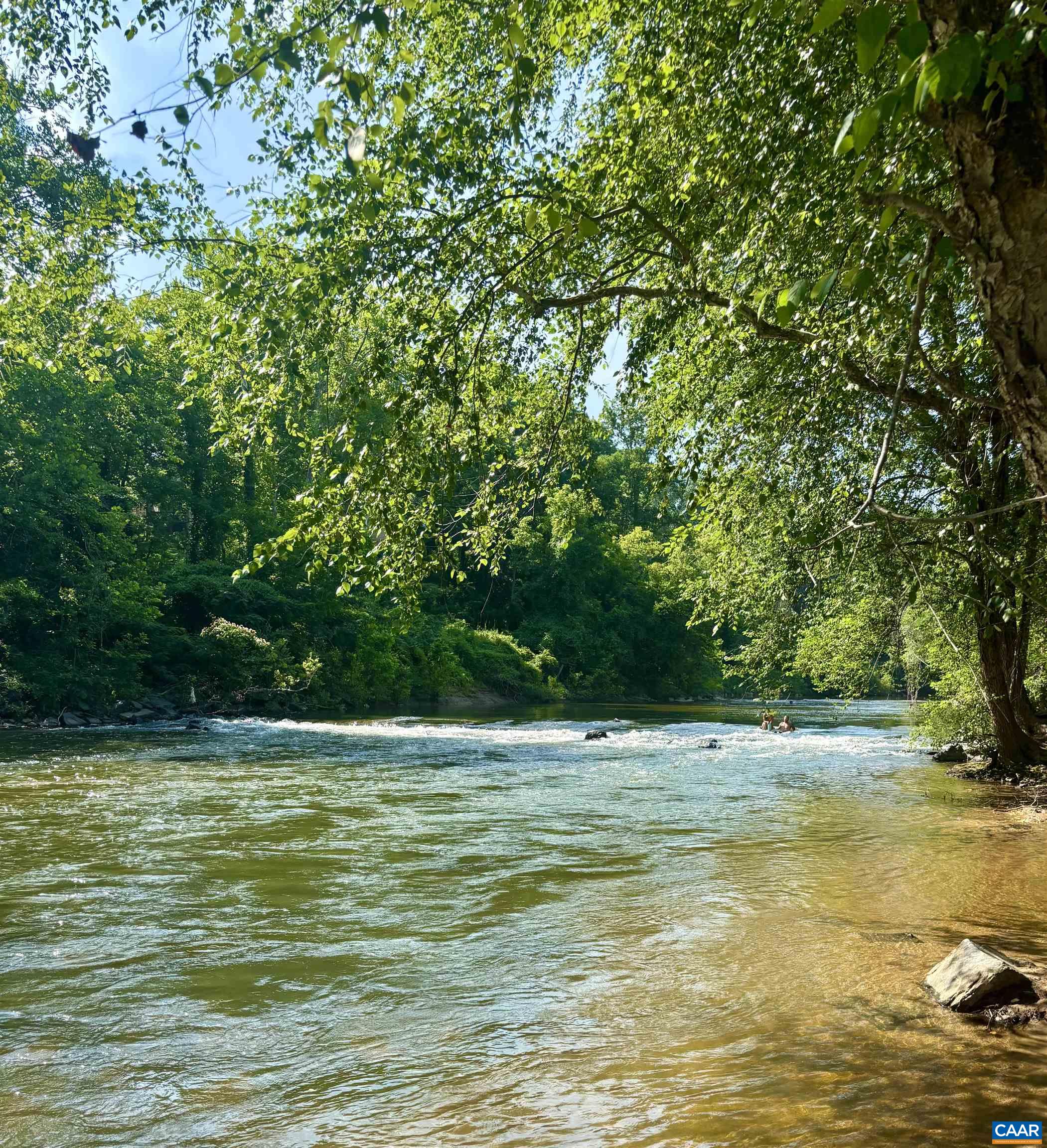 528 TRAILSIDE DR, CHARLOTTESVILLE, Virginia 22911, 4 Bedrooms Bedrooms, ,3 BathroomsBathrooms,Residential,528 TRAILSIDE DR,674759 MLS # 674759 528 TRAILSIDE DR, CHARLOTTESVILLE, Virginia 22911, 4 Bedrooms Bedrooms, ,3 BathroomsBathrooms,Residential,528 TRAILSIDE DR,674759 MLS # 674759