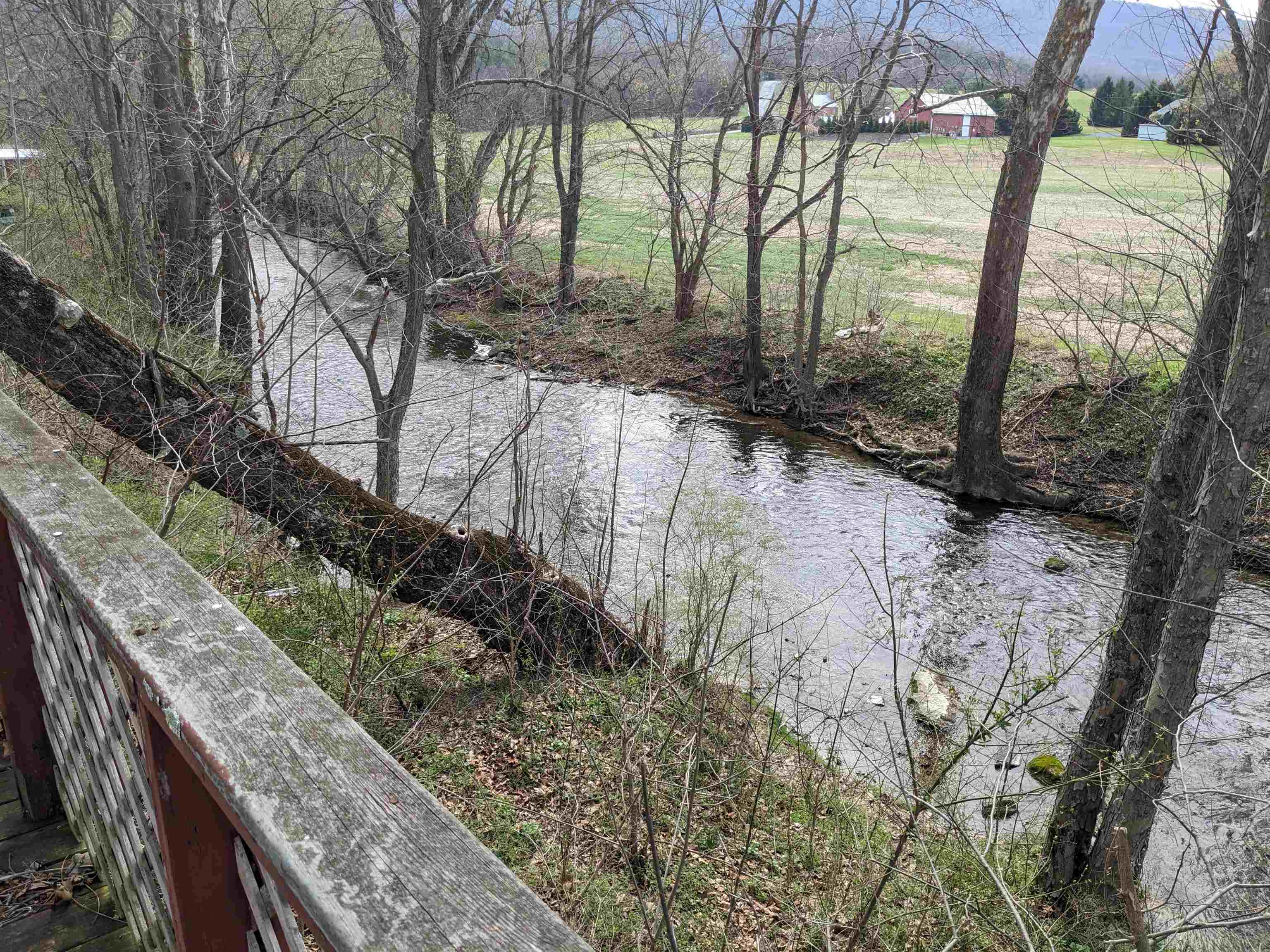 934 CLICKS LN, NEW MARKET, Virginia 22844, 1 Bedroom Bedrooms, ,1 BathroomBathrooms,Residential,934 CLICKS LN,674895 MLS # 674895 934 CLICKS LN, NEW MARKET, Virginia 22844, 1 Bedroom Bedrooms, ,1 BathroomBathrooms,Residential,934 CLICKS LN,674895 MLS # 674895