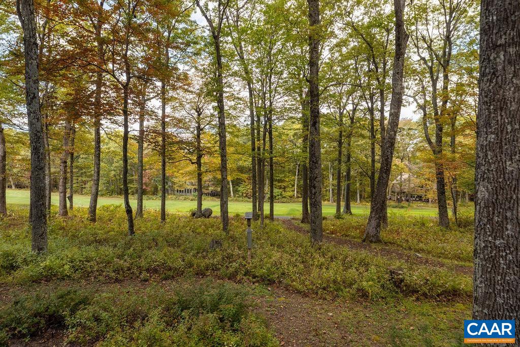 27 VEERY LN, WINTERGREEN RESORT, Virginia 22967, 4 Bedrooms Bedrooms, ,3 BathroomsBathrooms,Residential,27 VEERY LN,674900 MLS # 674900