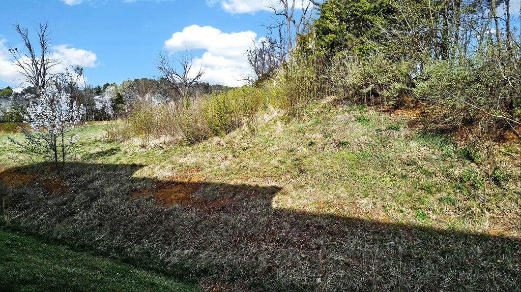 229 WILLOWSHIRE CT, WAYNESBORO, Virginia 22980, 3 Bedrooms Bedrooms, ,2 BathroomsBathrooms,Residential,229 WILLOWSHIRE CT,674909 MLS # 674909 229 WILLOWSHIRE CT, WAYNESBORO, Virginia 22980, 3 Bedrooms Bedrooms, ,2 BathroomsBathrooms,Residential,229 WILLOWSHIRE CT,674909 MLS # 674909