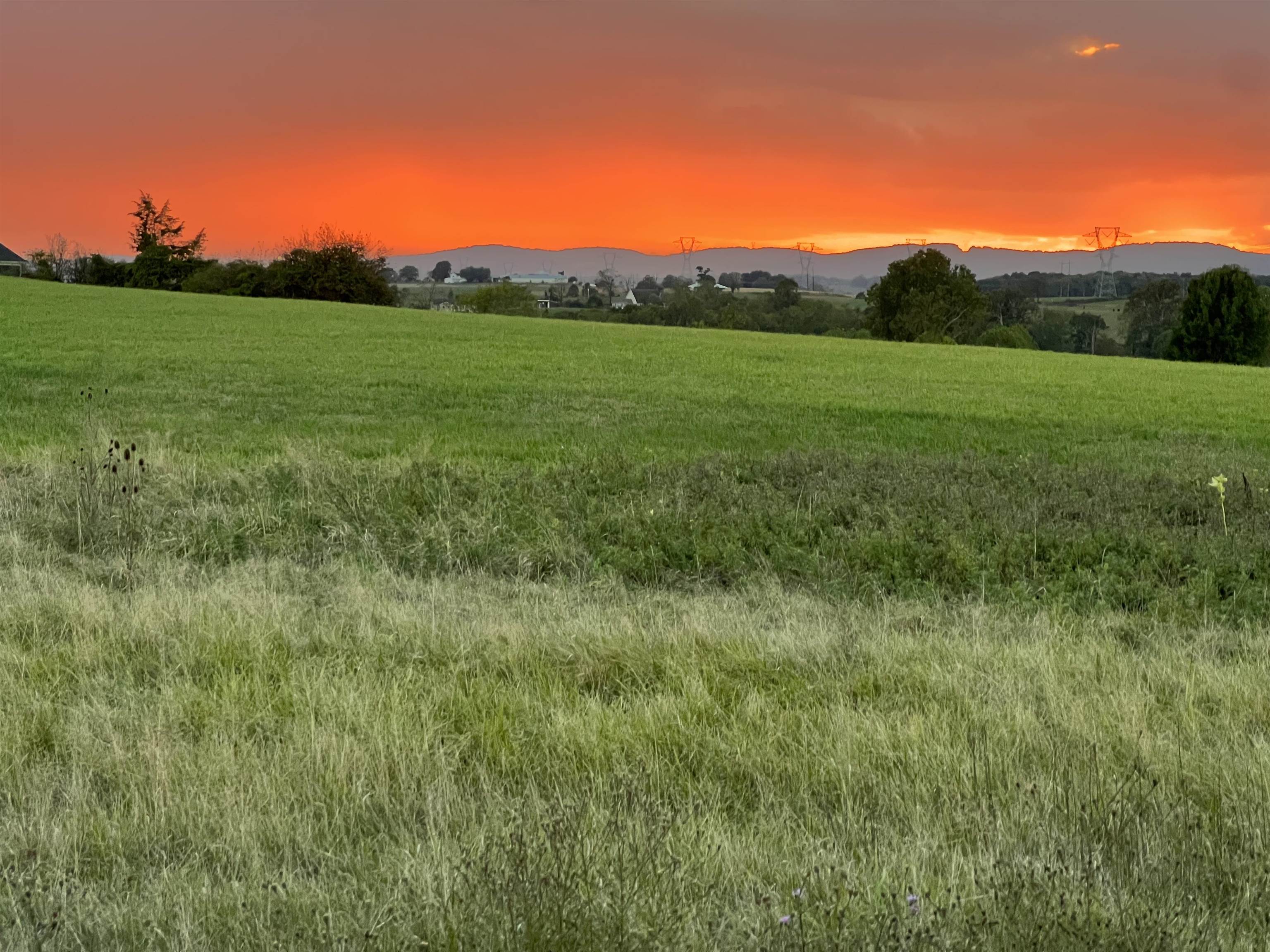 3483 BARTERBROOK RD, STAUNTON, Virginia 24401, 5 Bedrooms Bedrooms, ,6 BathroomsBathrooms,Residential,Brement Farm,3483 BARTERBROOK RD,674914 MLS # 674914