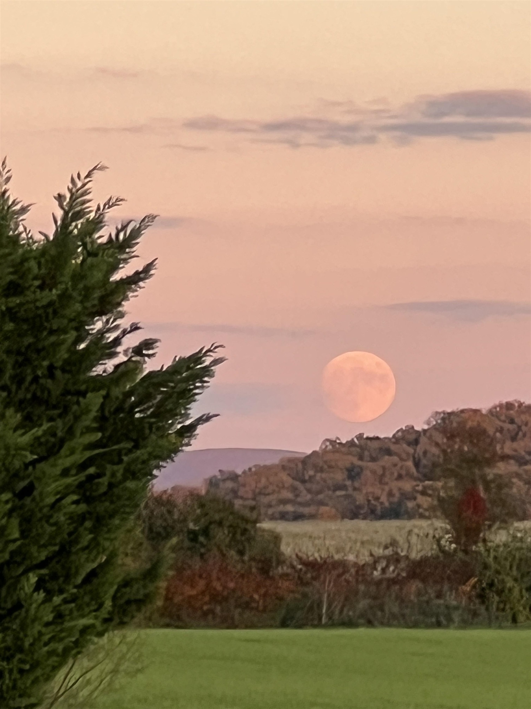 3483 BARTERBROOK RD, STAUNTON, Virginia 24401, 5 Bedrooms Bedrooms, ,6 BathroomsBathrooms,Residential,Brement Farm,3483 BARTERBROOK RD,674914 MLS # 674914