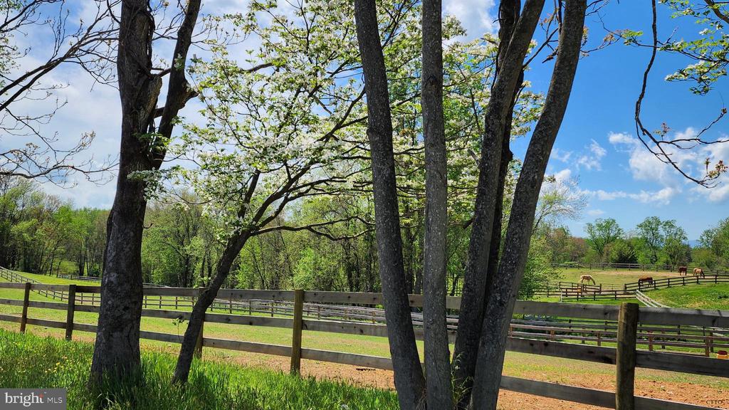 6478 LAUREL HILL LN, RIXEYVILLE, Virginia 22737, ,Land,6478 LAUREL HILL LN,VACU2012944 MLS # VACU2012944