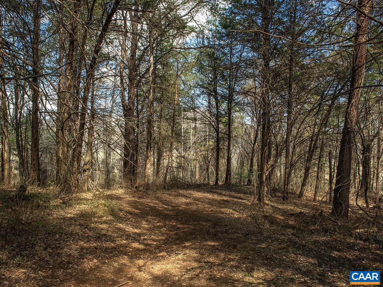 MIDDLE RIVER RD, STANARDSVILLE, Virginia 22973, ,Land,MIDDLE RIVER RD,674929 MLS # 674929 MIDDLE RIVER RD, STANARDSVILLE, Virginia 22973, ,Land,MIDDLE RIVER RD,674929 MLS # 674929