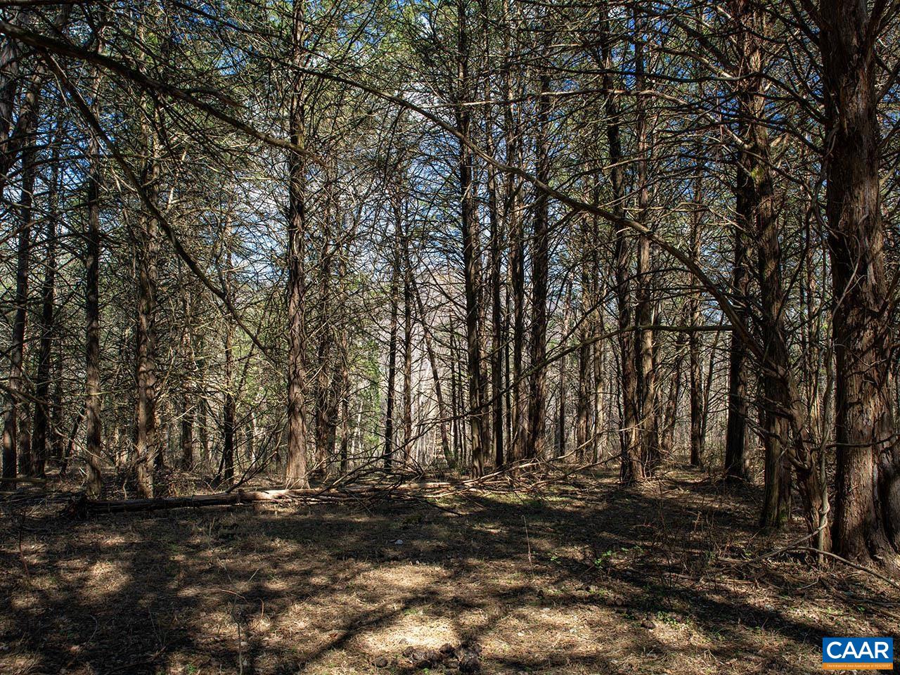 MIDDLE RIVER RD, STANARDSVILLE, Virginia 22973, ,Land,MIDDLE RIVER RD,674929 MLS # 674929 MIDDLE RIVER RD, STANARDSVILLE, Virginia 22973, ,Land,MIDDLE RIVER RD,674929 MLS # 674929