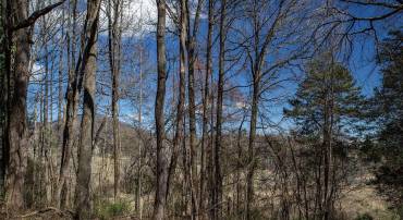 MIDDLE RIVER RD, STANARDSVILLE, Virginia 22973, ,Land,MIDDLE RIVER RD,674929 MLS # 674929