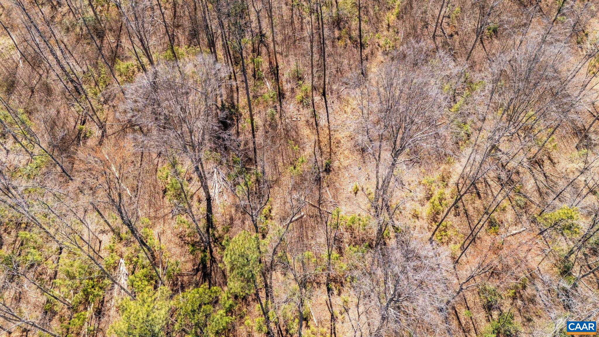 JEFFERSON HWY, BUMPASS, Virginia 23024, ,Land,JEFFERSON HWY,674951 MLS # 674951