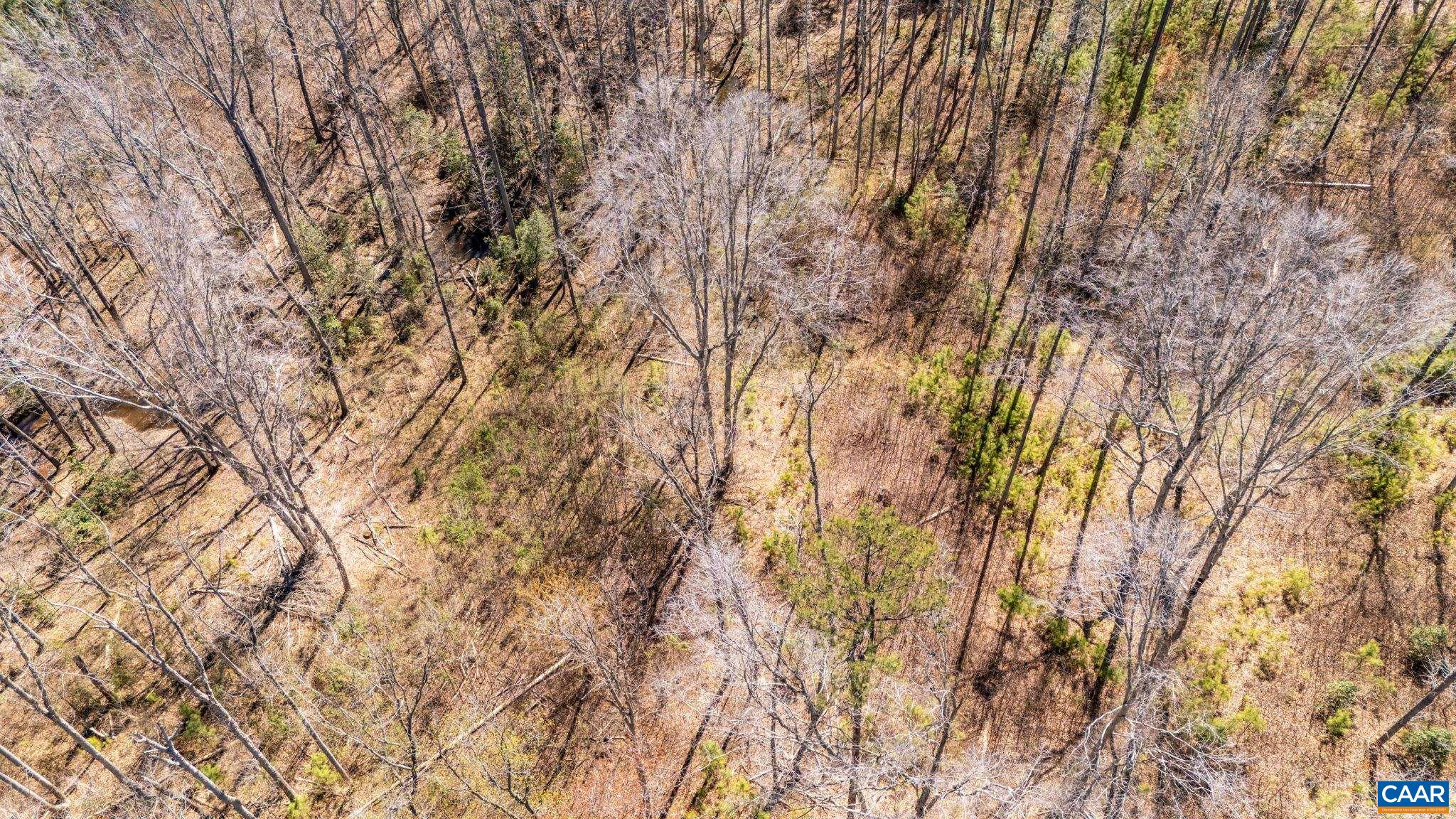 JEFFERSON HWY, BUMPASS, Virginia 23024, ,Land,JEFFERSON HWY,674951 MLS # 674951