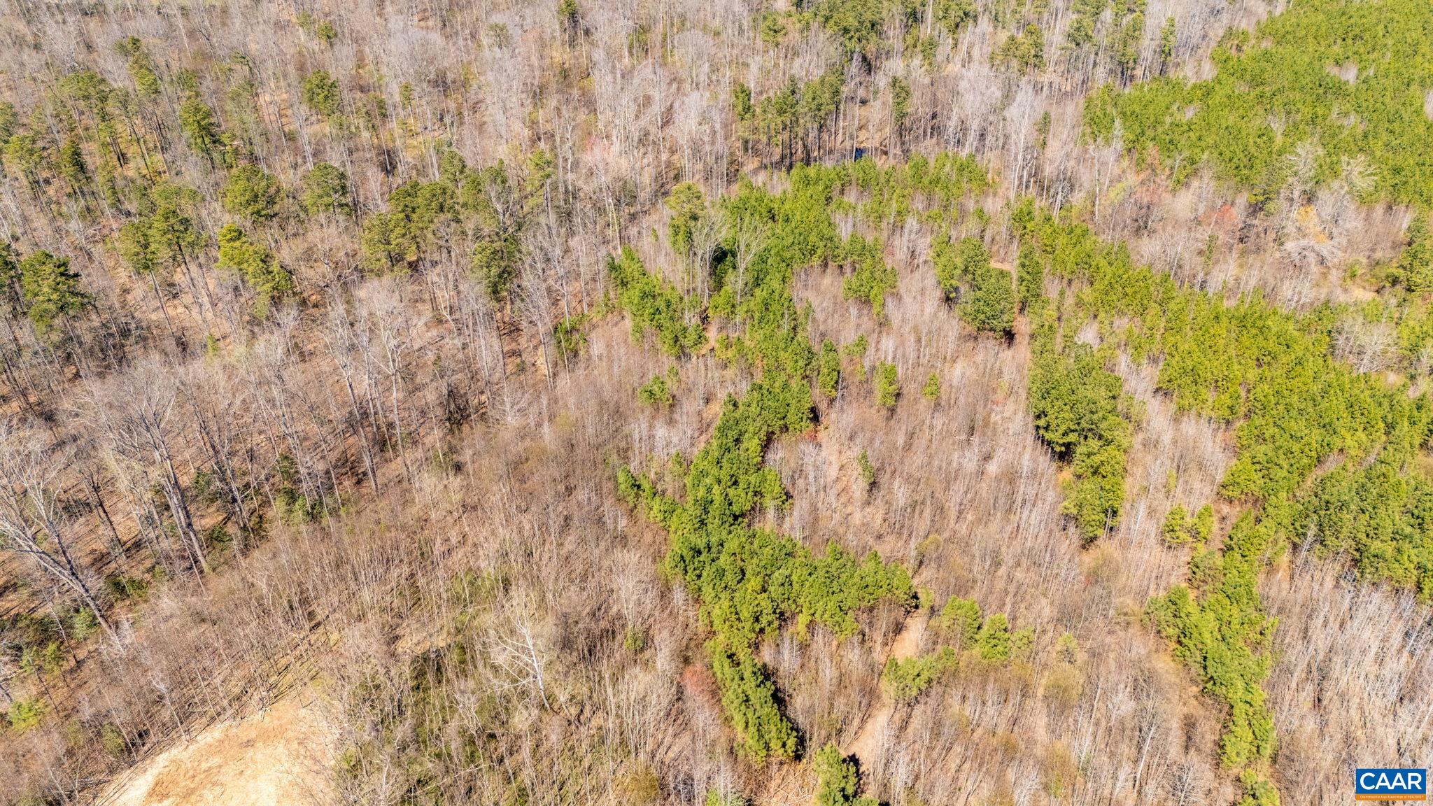 JEFFERSON HWY, BUMPASS, Virginia 23024, ,Land,JEFFERSON HWY,674951 MLS # 674951