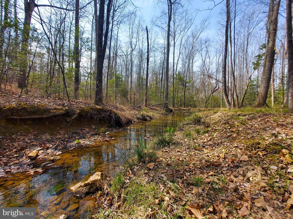 28100 TATUM RD, UNIONVILLE, Virginia 22567, 3 Bedrooms Bedrooms, ,2 BathroomsBathrooms,Residential,28100 TATUM RD,VAOR2013672 MLS # VAOR2013672 28100 TATUM RD, UNIONVILLE, Virginia 22567, 3 Bedrooms Bedrooms, ,2 BathroomsBathrooms,Residential,28100 TATUM RD,VAOR2013672 MLS # VAOR2013672