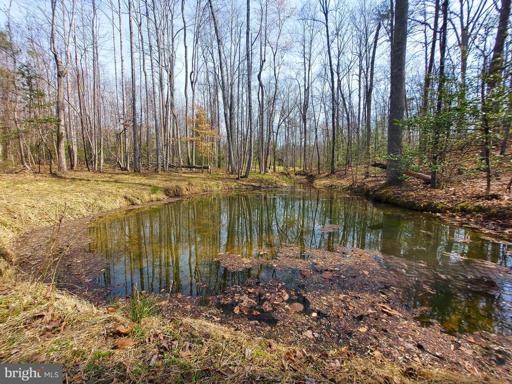 28100 TATUM RD, UNIONVILLE, Virginia 22567, 3 Bedrooms Bedrooms, ,2 BathroomsBathrooms,Residential,28100 TATUM RD,VAOR2013672 MLS # VAOR2013672 28100 TATUM RD, UNIONVILLE, Virginia 22567, 3 Bedrooms Bedrooms, ,2 BathroomsBathrooms,Residential,28100 TATUM RD,VAOR2013672 MLS # VAOR2013672