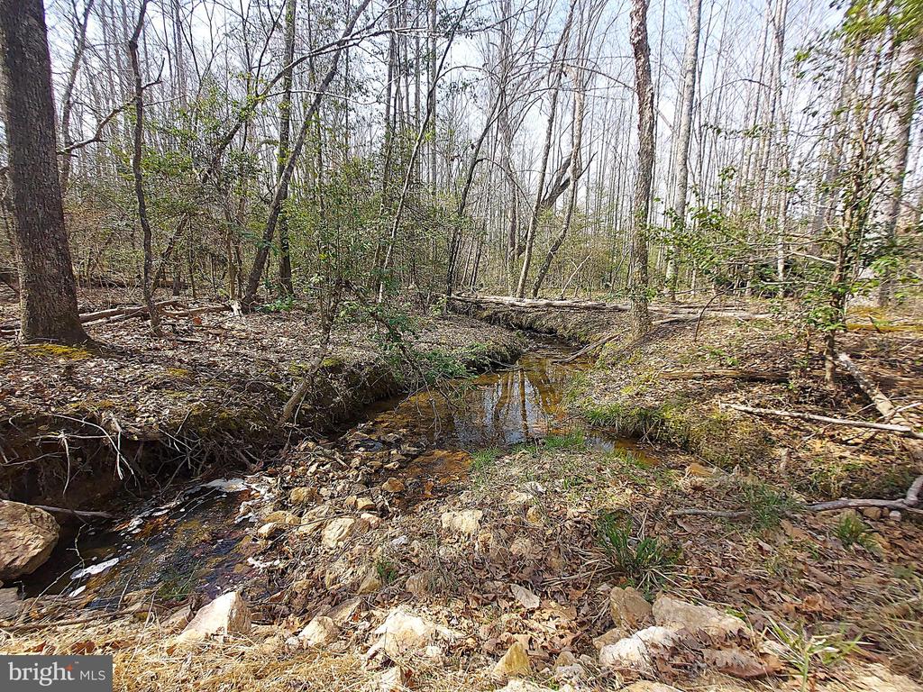 28100 TATUM RD, UNIONVILLE, Virginia 22567, 3 Bedrooms Bedrooms, ,2 BathroomsBathrooms,Residential,28100 TATUM RD,VAOR2013672 MLS # VAOR2013672 28100 TATUM RD, UNIONVILLE, Virginia 22567, 3 Bedrooms Bedrooms, ,2 BathroomsBathrooms,Residential,28100 TATUM RD,VAOR2013672 MLS # VAOR2013672