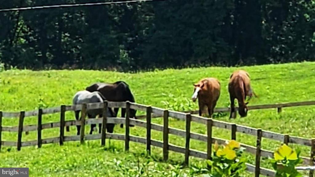 6478 LAUREL HILL LN, RIXEYVILLE, Virginia 22737, ,Residential,6478 LAUREL HILL LN,VACU2012942 MLS # VACU2012942