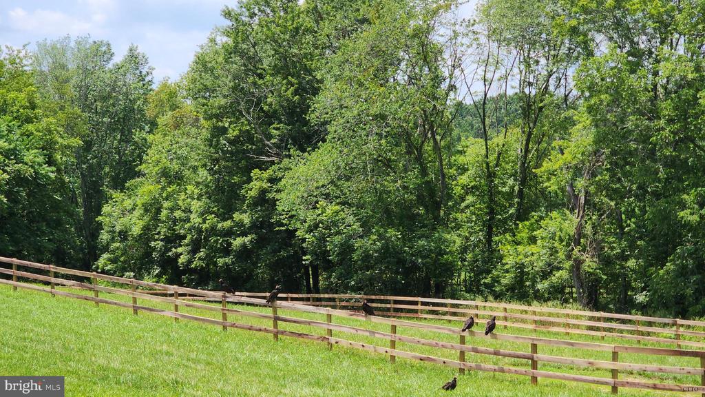 6478 LAUREL HILL LN, RIXEYVILLE, Virginia 22737, ,Residential,6478 LAUREL HILL LN,VACU2012942 MLS # VACU2012942