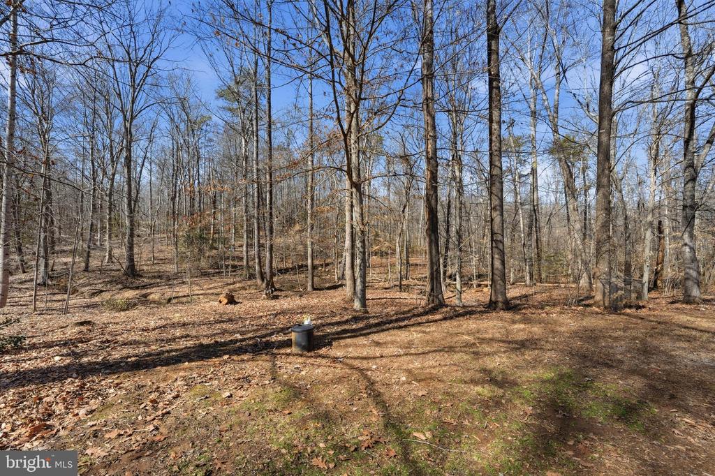 6052 BILAL CT, JEFFERSONTON, Virginia 22724, 3 Bedrooms Bedrooms, ,3 BathroomsBathrooms,Residential,6052 BILAL CT,VACU2013106 MLS # VACU2013106 6052 BILAL CT, JEFFERSONTON, Virginia 22724, 3 Bedrooms Bedrooms, ,3 BathroomsBathrooms,Residential,6052 BILAL CT,VACU2013106 MLS # VACU2013106