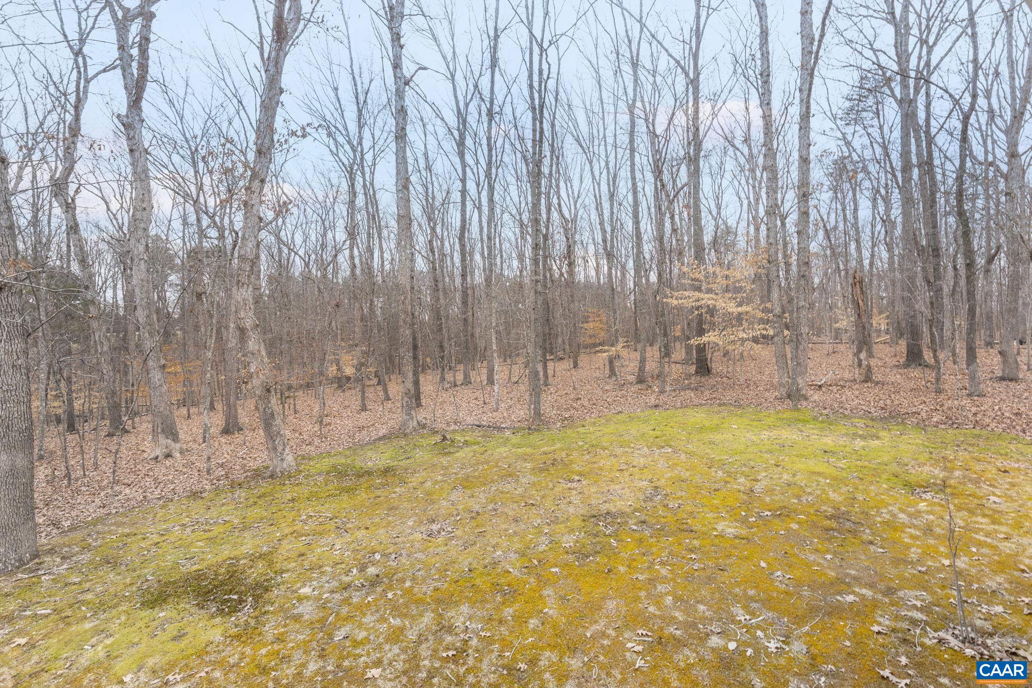 22 BRIDLEWOOD DR, PALMYRA, Virginia 22963, 3 Bedrooms Bedrooms, ,2 BathroomsBathrooms,Residential,22 BRIDLEWOOD DR,673754 MLS # 673754