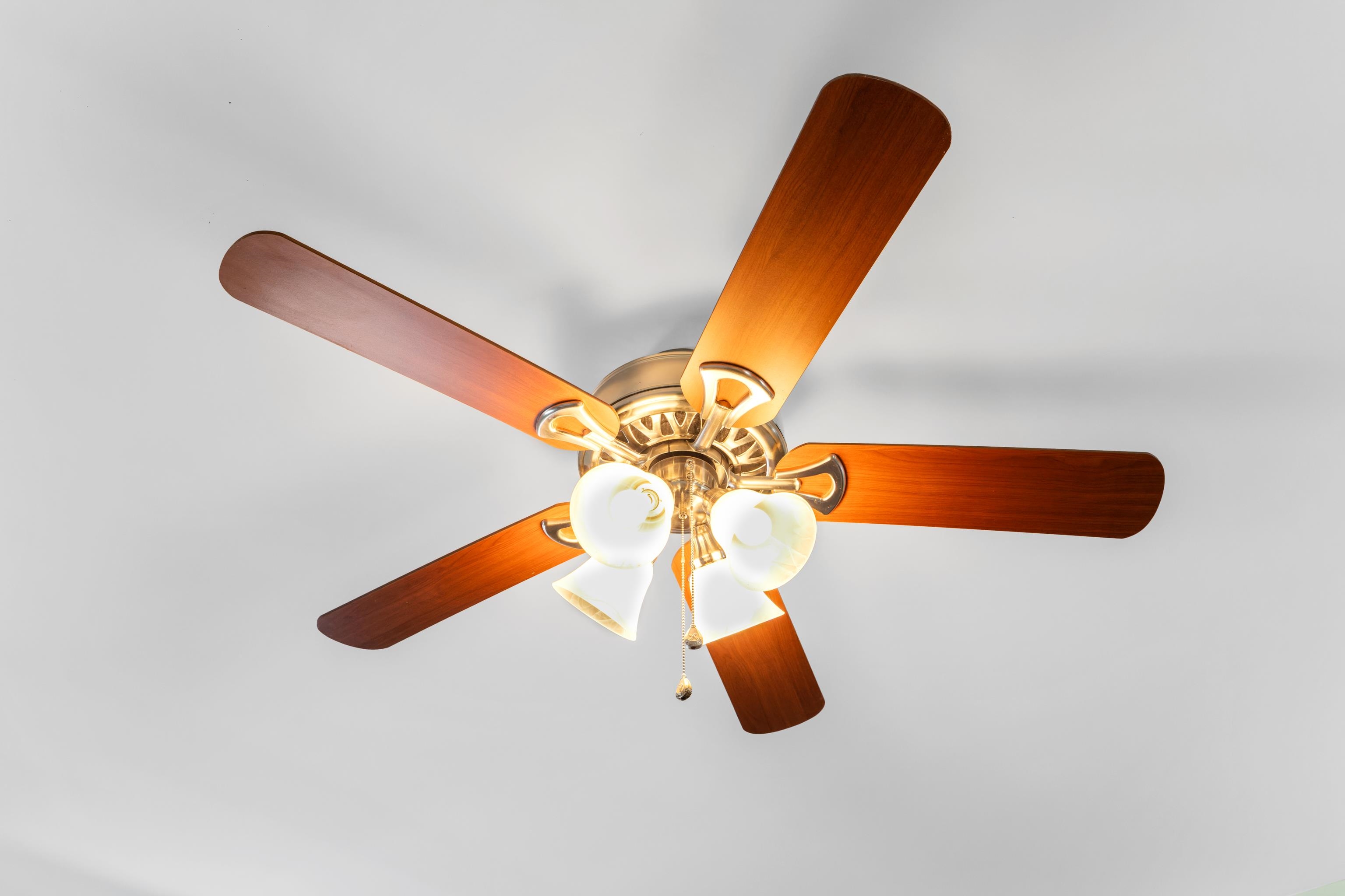 809 CARSON CIR, GROTTOES, Virginia 24441, 3 Bedrooms Bedrooms, ,2 BathroomsBathrooms,Residential,809 CARSON CIR,674925 MLS # 674925