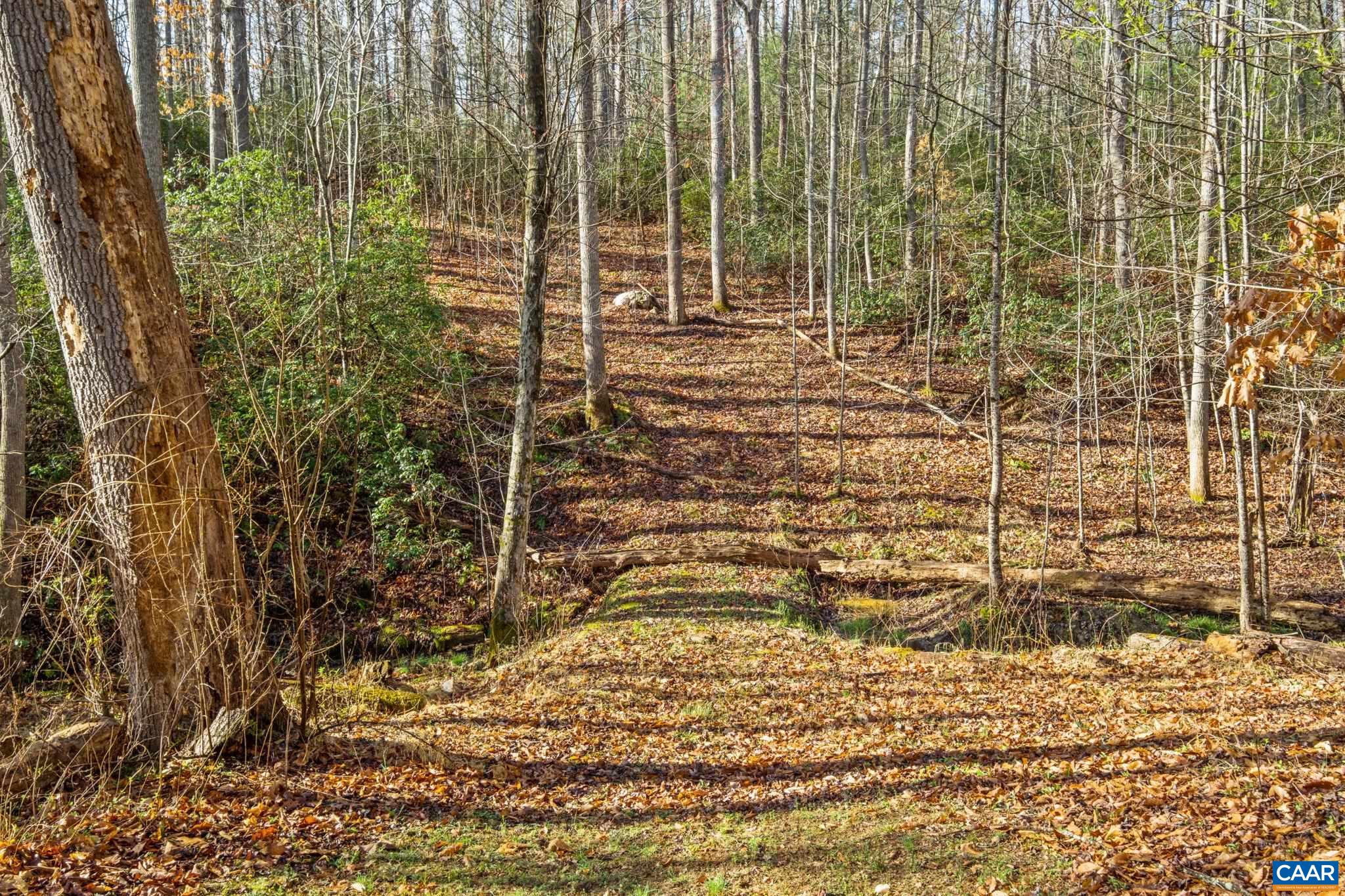 793 MORNING GLORY TURN, RUCKERSVILLE, Virginia 22968, 3 Bedrooms Bedrooms, ,3 BathroomsBathrooms,Residential,793 MORNING GLORY TURN,674931 MLS # 674931