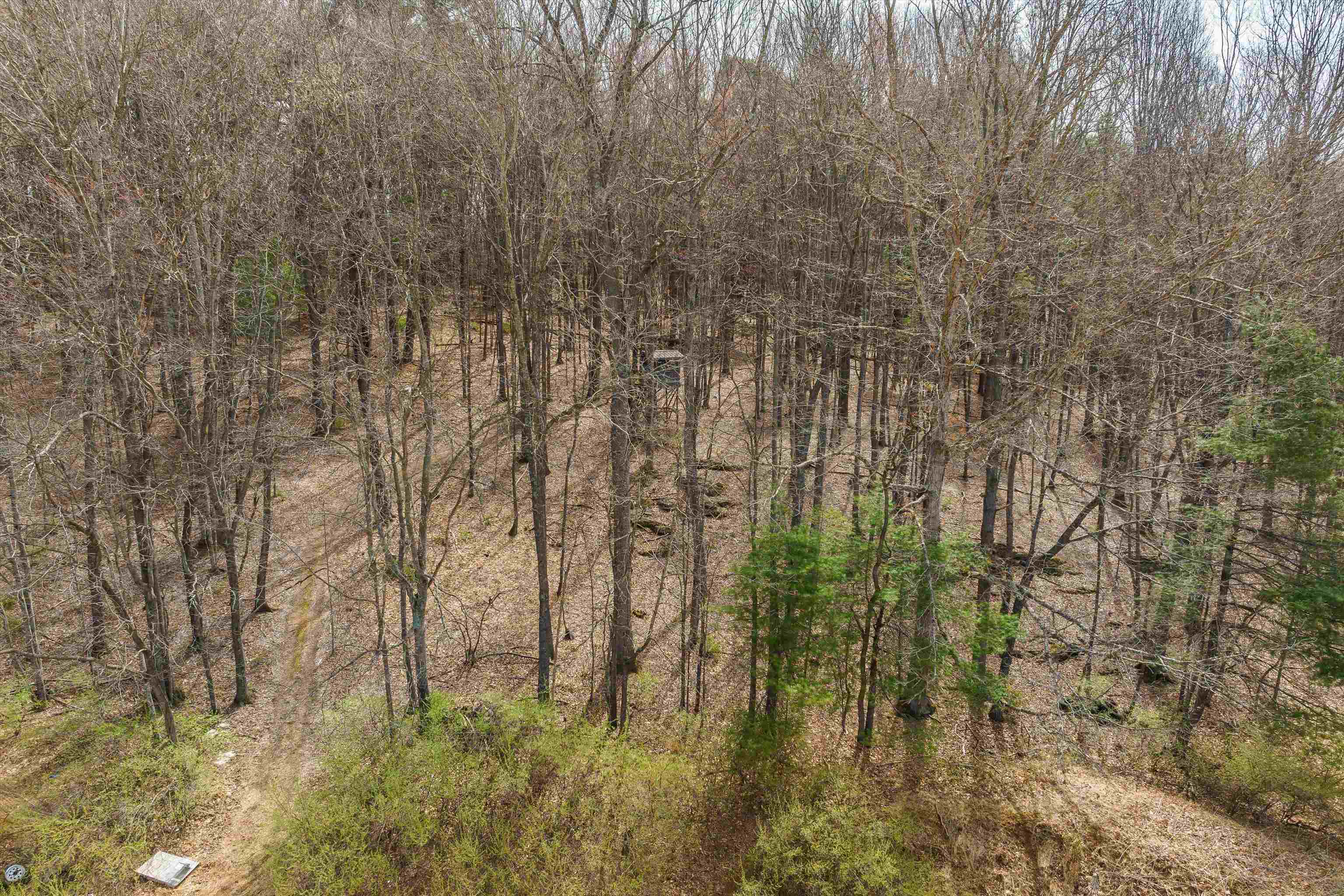 259 TALIAFERRO DR, CHURCHVILLE, Virginia 24421, 3 Bedrooms Bedrooms, ,2 BathroomsBathrooms,Residential,259 TALIAFERRO DR,674963 MLS # 674963