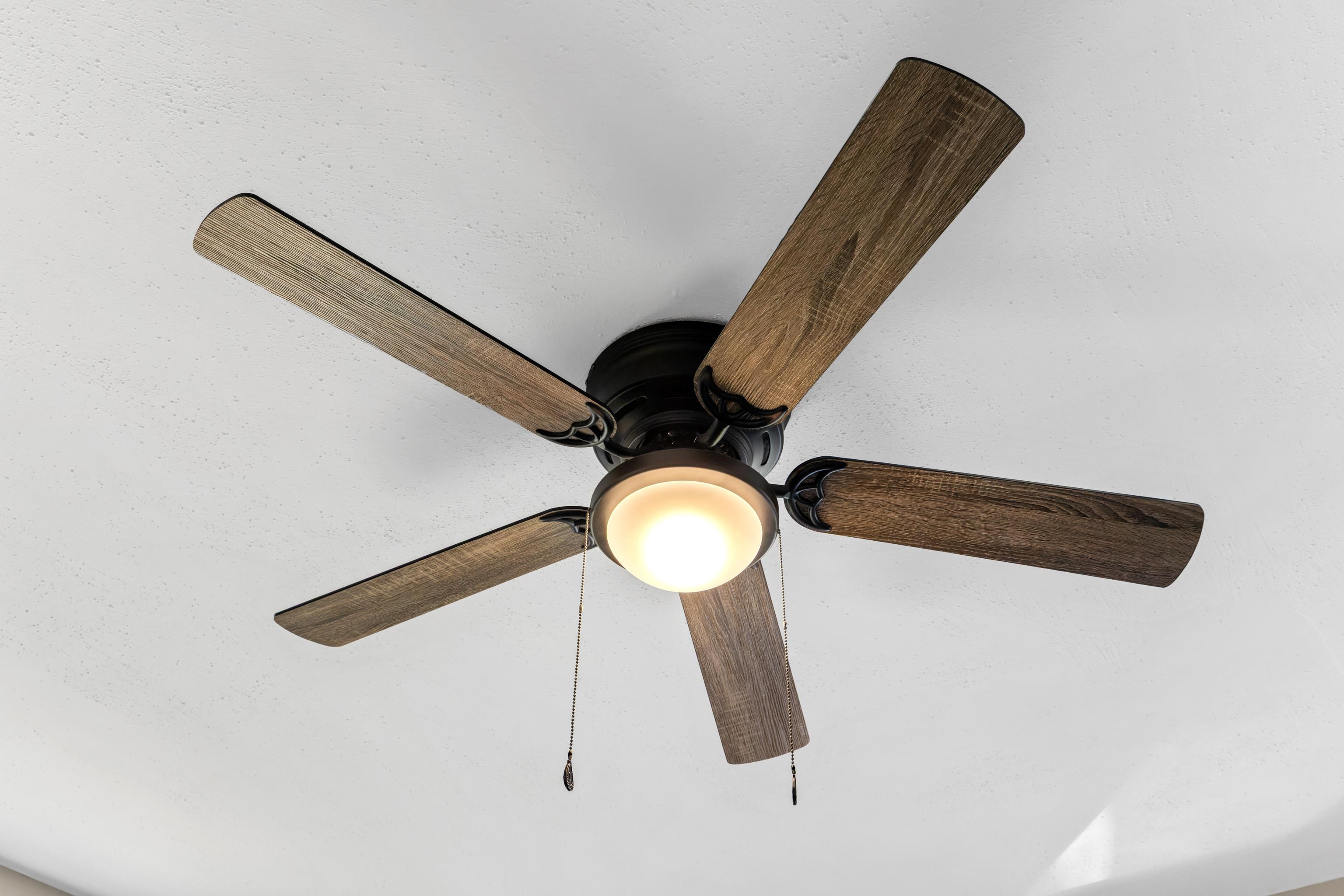 14 MULBERRY ST, STAUNTON, Virginia 24401, 4 Bedrooms Bedrooms, ,2 BathroomsBathrooms,Residential,14 MULBERRY ST,674965 MLS # 674965