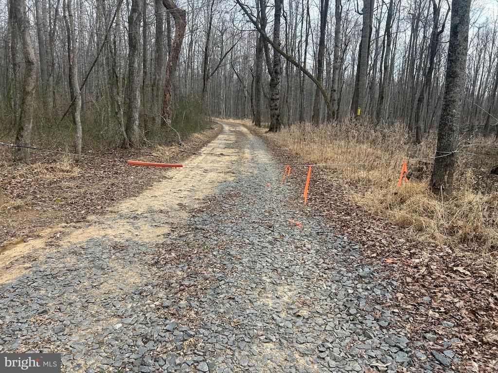 0 UNKNOWN, AMISSVILLE, Virginia 20106, ,Farm,0 UNKNOWN,VARP2002546 MLS # VARP2002546