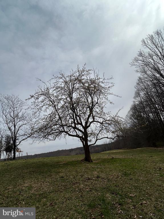 0 UNKNOWN, AMISSVILLE, Virginia 20106, ,Farm,0 UNKNOWN,VARP2002546 MLS # VARP2002546