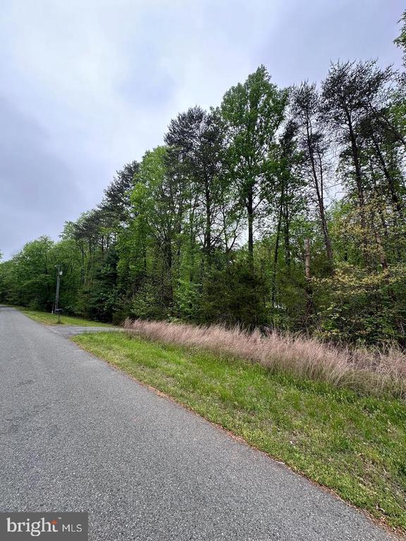 PLUM TREE CIRCLE, BUMPASS, Virginia 23024, ,Land,PLUM TREE CIRCLE,VALA2009522 MLS # VALA2009522